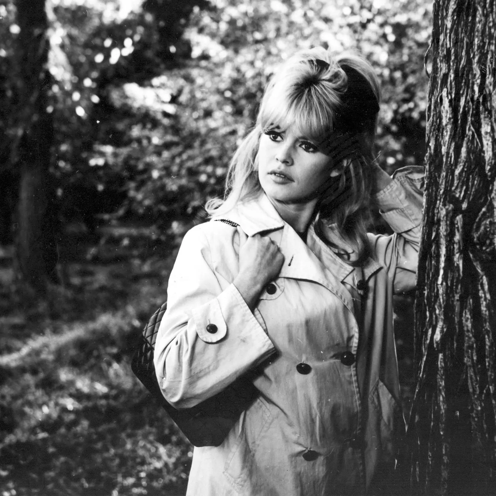 Brigitte Bardot 