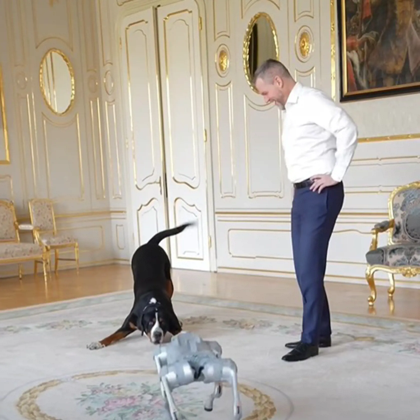 Prezident Peter Pellegrini si v Prezidentskom paláci vyskúšal robotického psa Jimmyho. Priznal, že jeho chlpáč Gery bol z neho trochu nesvoj.