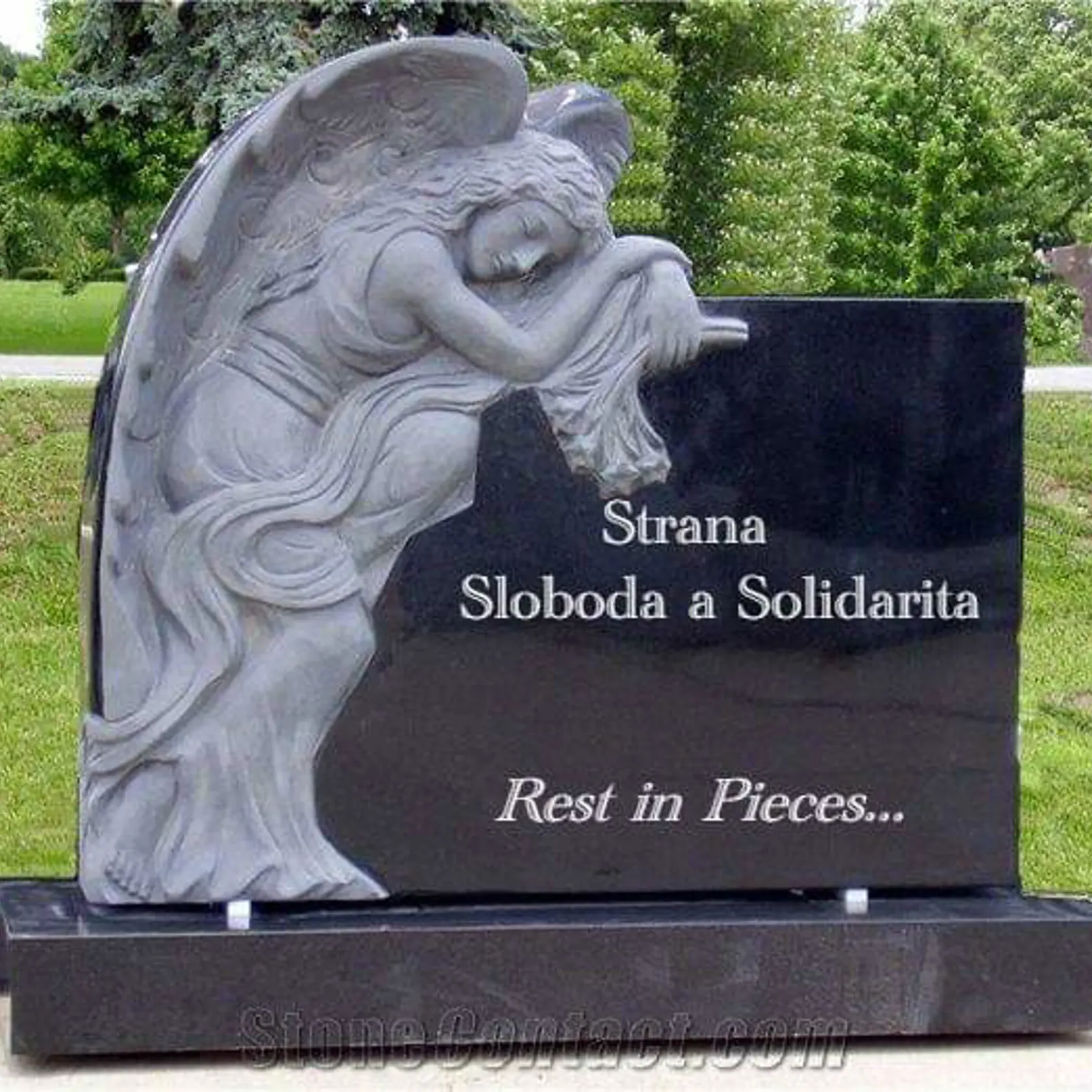 Strana Sloboda a Solidarita si to zlízla za turbulentné udalosti posledných dní.