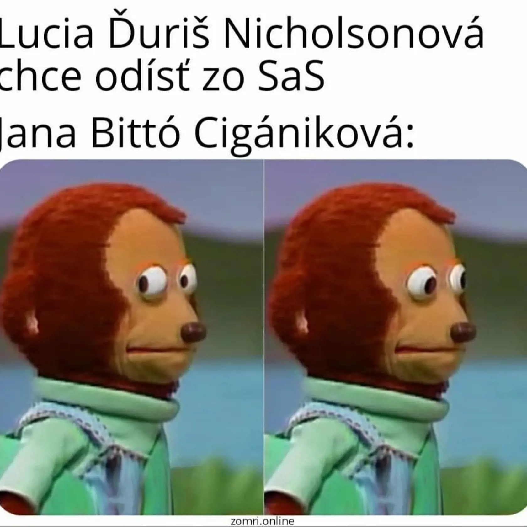 Na tlačovej konferencii, ktorá rozpútala celú drámu, bola aj poslankyňa Janka Bittó Cigániková.