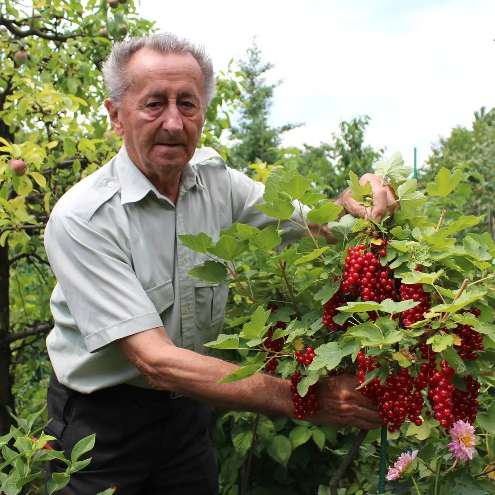 Ivan Hričovský
