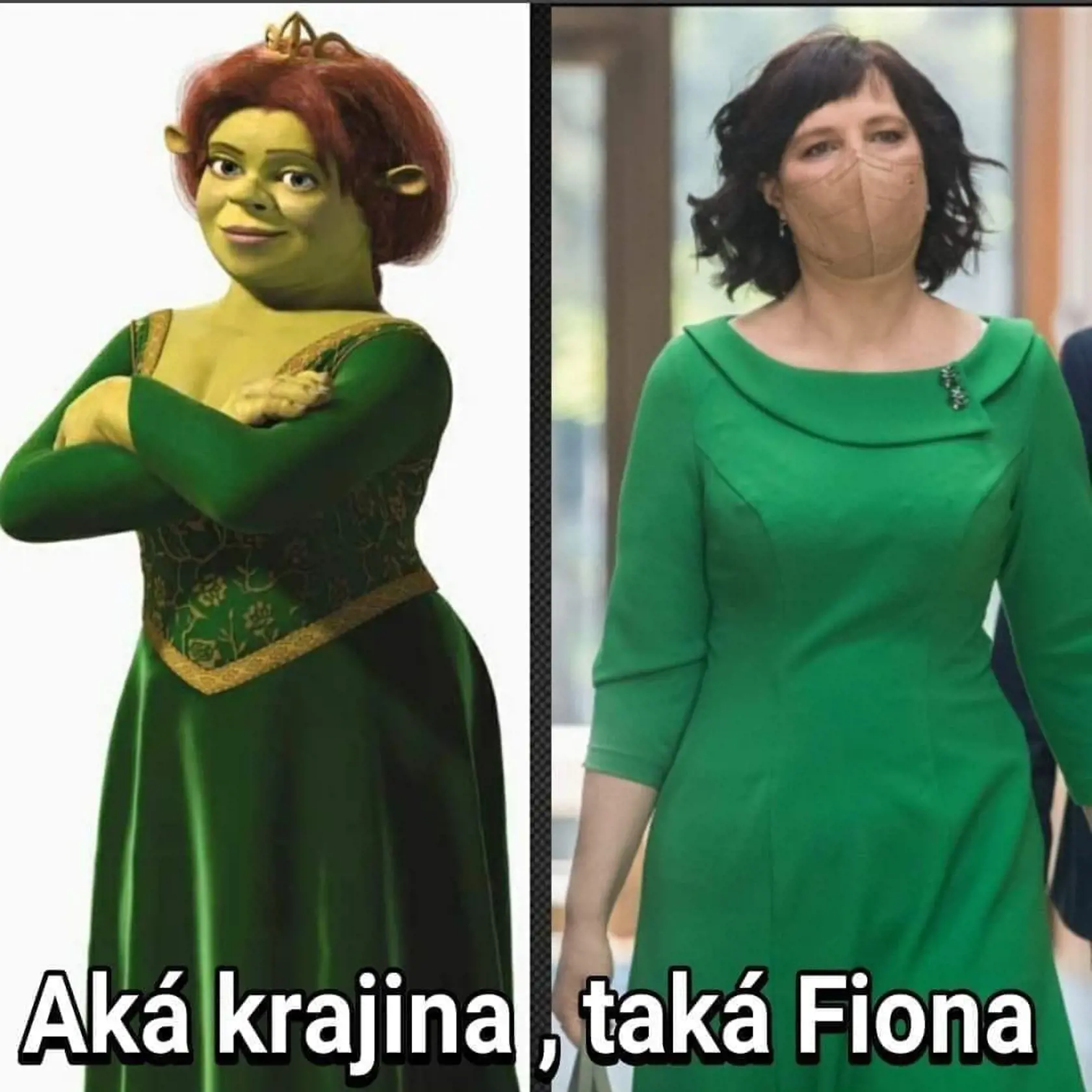 Na sociálnej sieti si zgustli aj na zelených šatách vicepremiérky Veroniky Remišovej (Za ľudí). Pre niektorých v nich pripomínala princeznú Fionu z rozprávky Shrek.