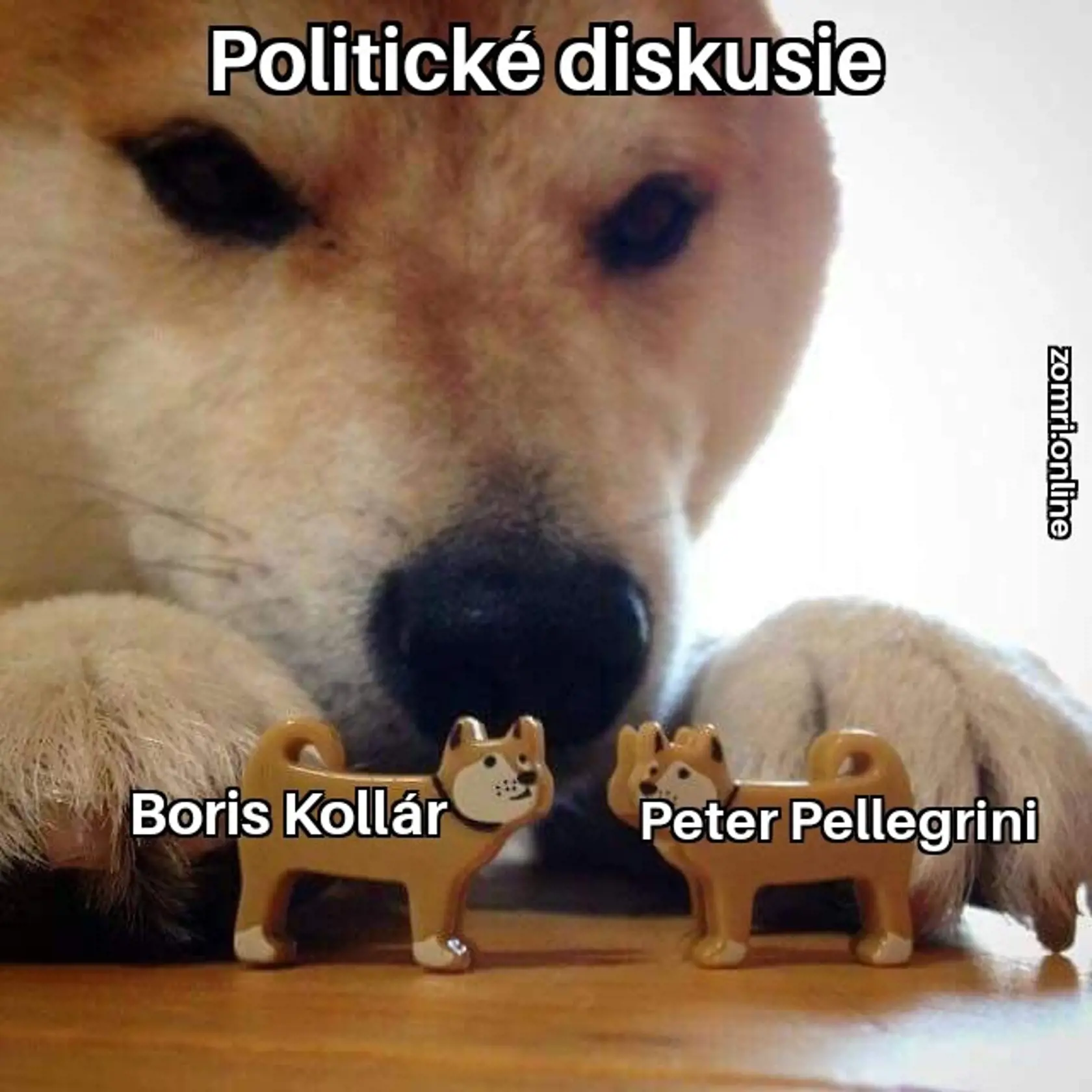 Politické diskusie Kollára a Pellegriniho sú také, že...