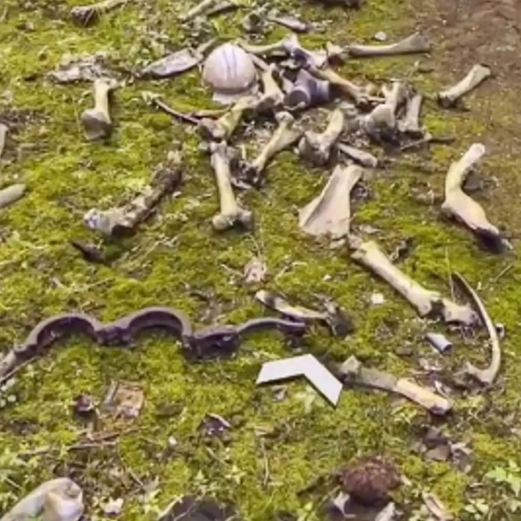 Video ukazuje, ako užívateľ TikToku po odbočke vľavo nájde na zemi ležať kôpku kostí, hrdzavé železné putá a zvyšky bezpečnostnej prilby či dýchacej masky.