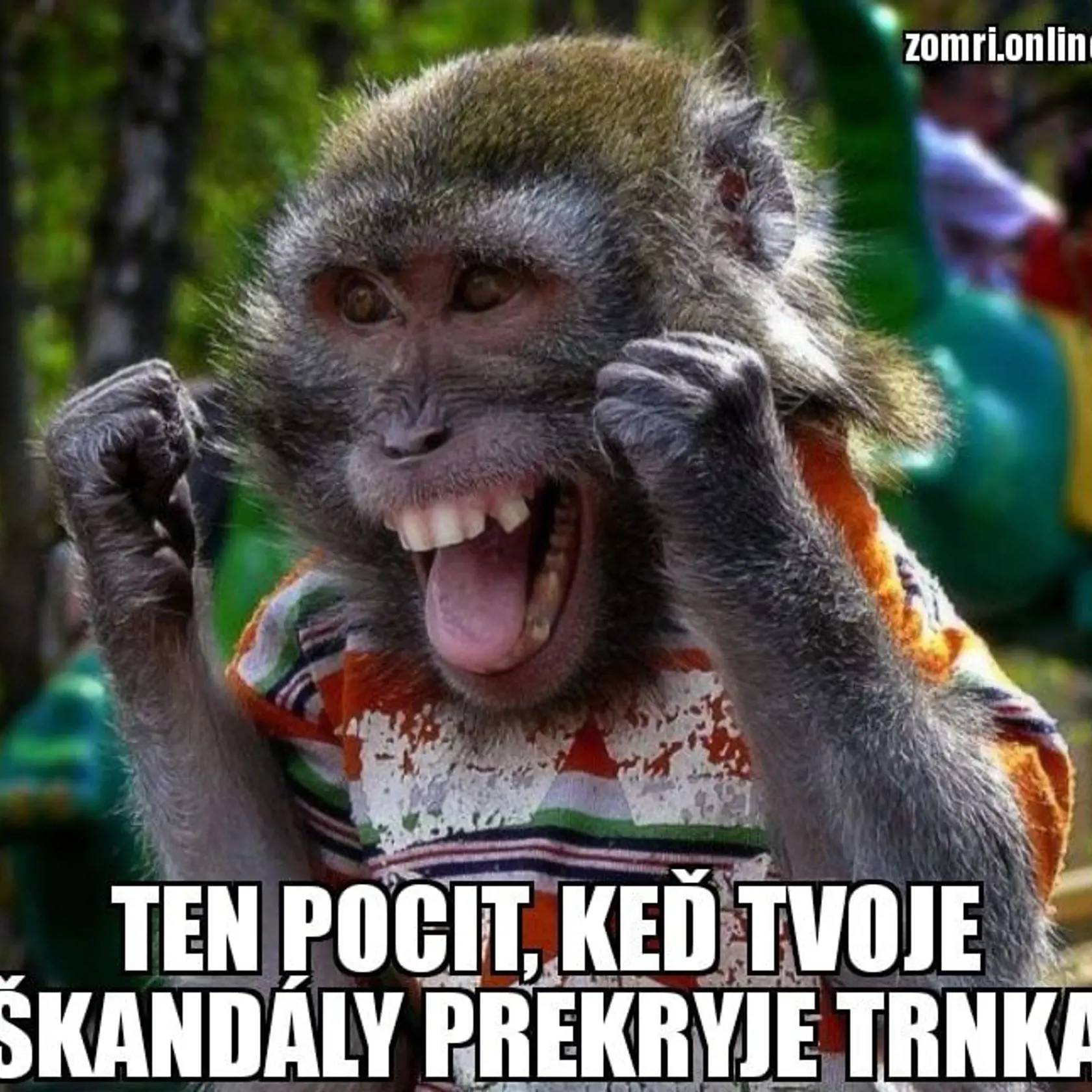 Monika Jankovská sa teraz pravdepodobne teší, že nie je hlavným terčom novinárov.