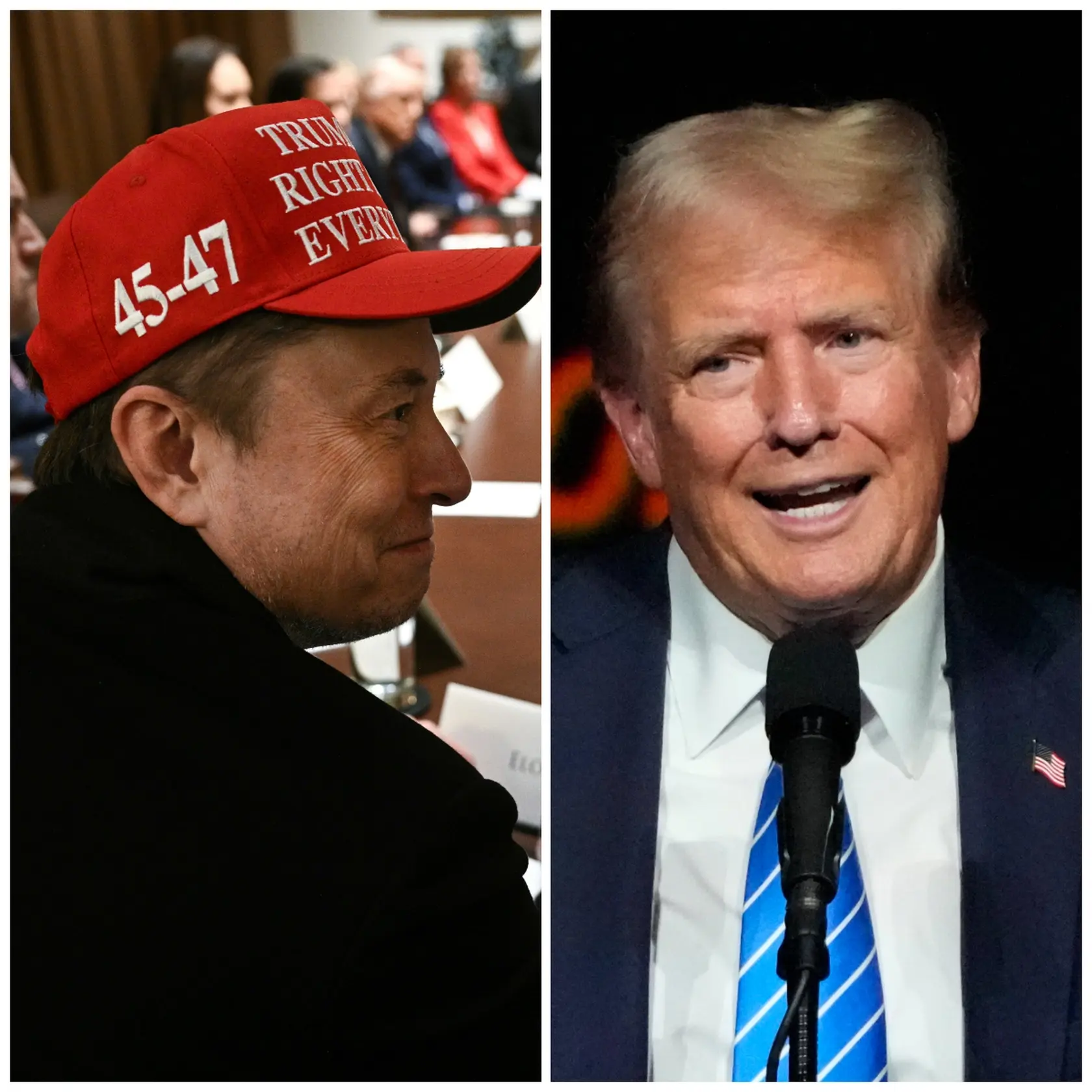 Elon Musk a Donald Trump.