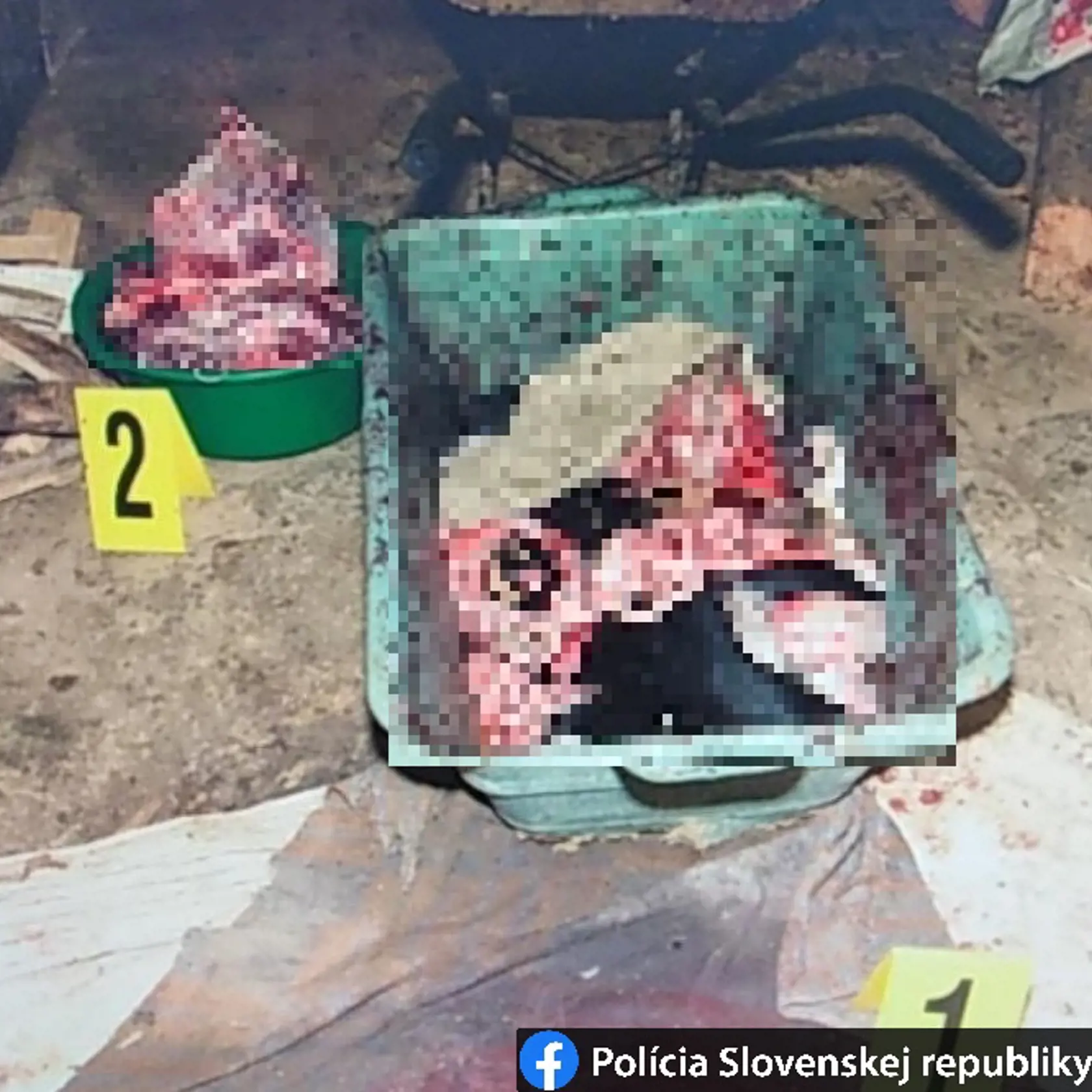 Enviropolicajti zadržali 40-ročného muža, ktorý mal utýrať minimálne piatich psov. Zvieratá mal udierať do hlavy až dokým nezahynuli a potom im mal tupým nožom odrezať hlavy od tela.