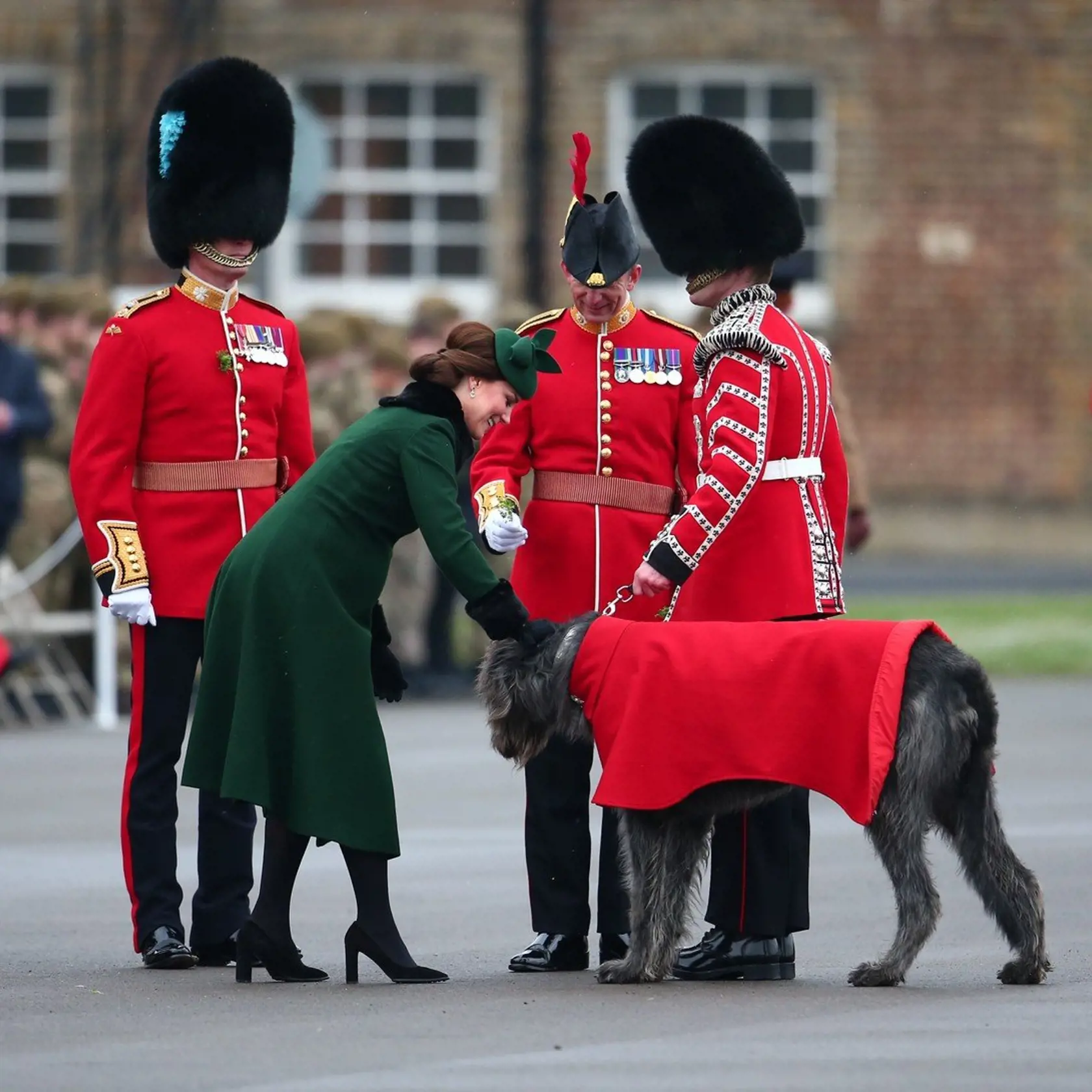 The Duke of Cambridge, Colonel of the Irish Guards, accompanied by The Duchess of Cambridge, present shamrocks to the 1st Battalion Irish Guards at the St. Patrick's Day Parade at Cavalry Barracks, Hounslow., Image: 366217407, License: Rights-managed, Restrictions: , Model Release: no, Credit line: Profimedia, Wenn