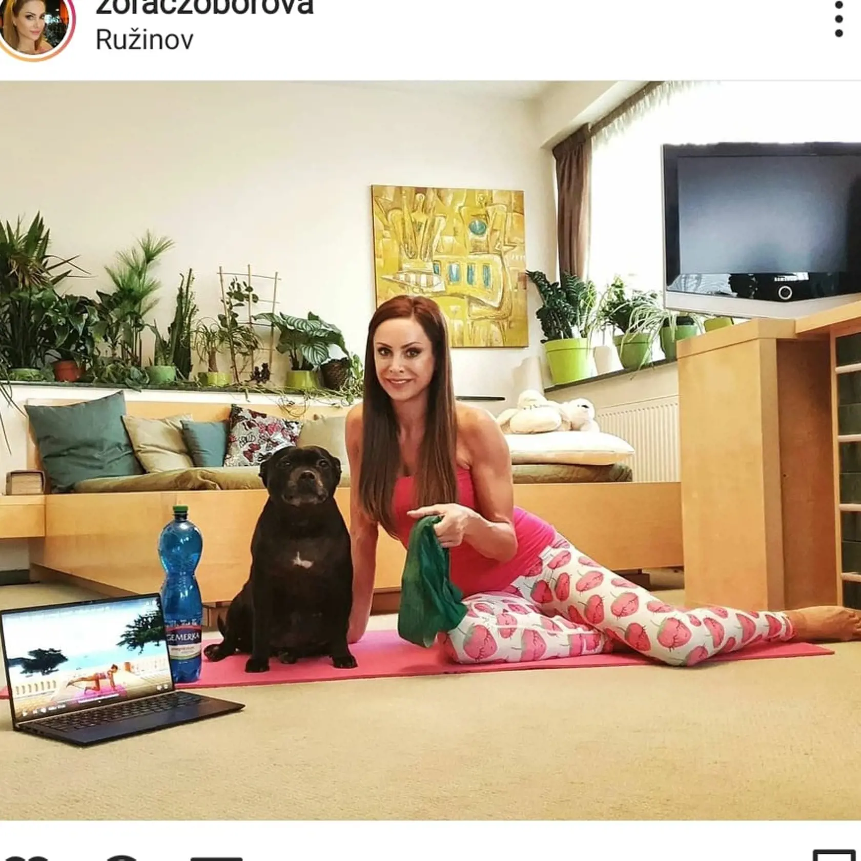 Zora tú červenú farbu jednoducho miluje.