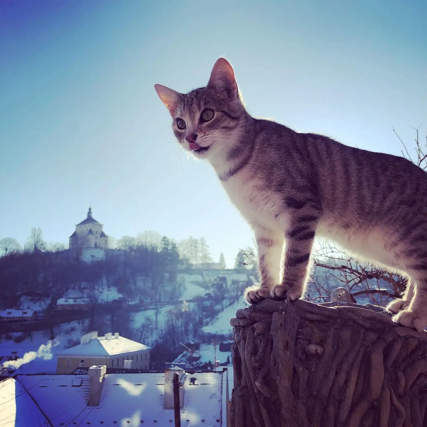 Rodné mesto Zdenky Prednej, v ktorom žije aj so svojou rodinou, je malebné. Podľa jej slov sa v Banskej Štiavnici cíti, akoby bola každý deň na dovolenke.