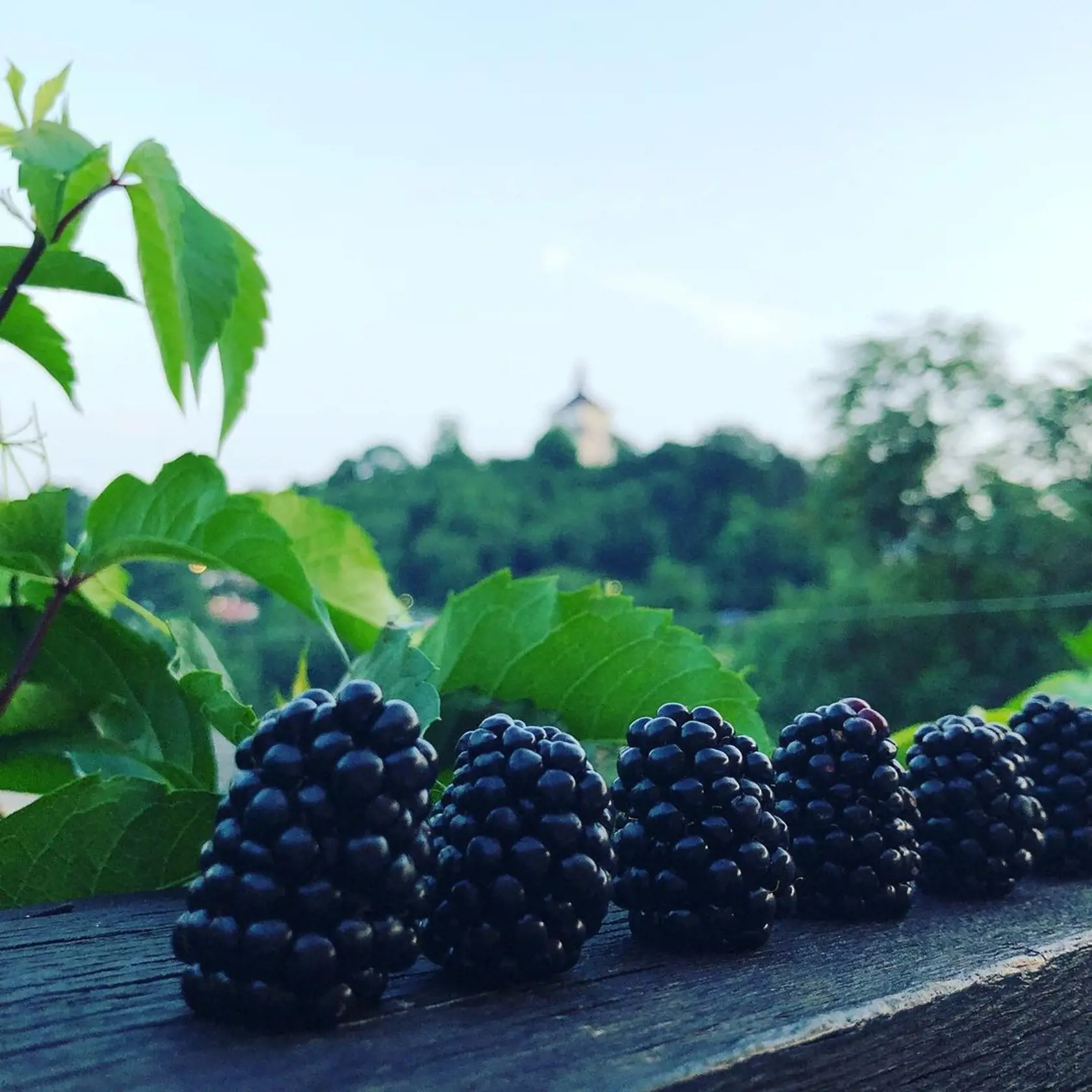 Rodné mesto Zdenky Prednej, v ktorom žije aj so svojou rodinou, je malebné. Podľa jej slov sa v Banskej Štiavnici cíti, akoby bola každý deň na dovolenke.