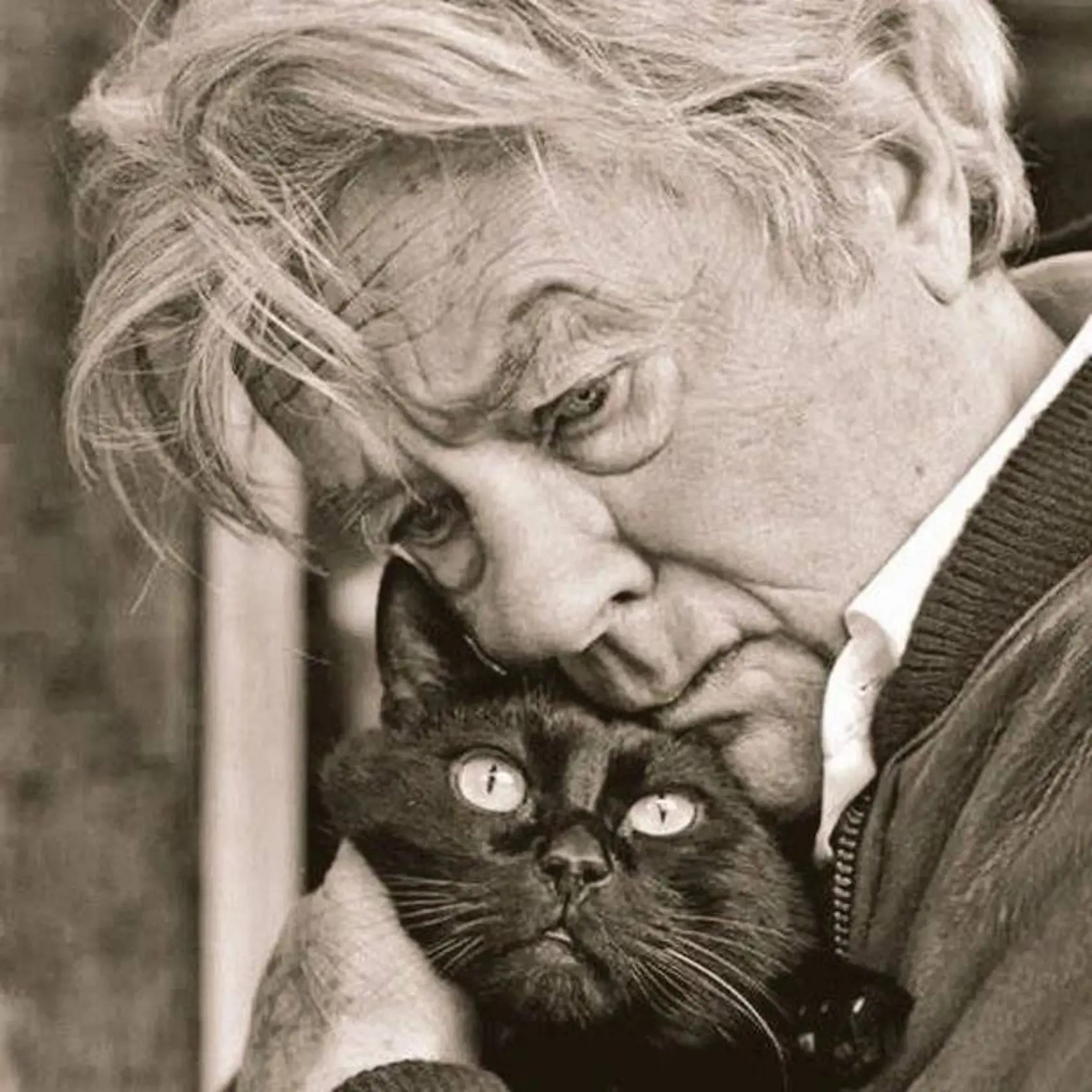Alain Delon raz poslal svoj vrtuľník na záchranu mačiatka, ktoré prišlo o labky, a vzal si ho k sebe.