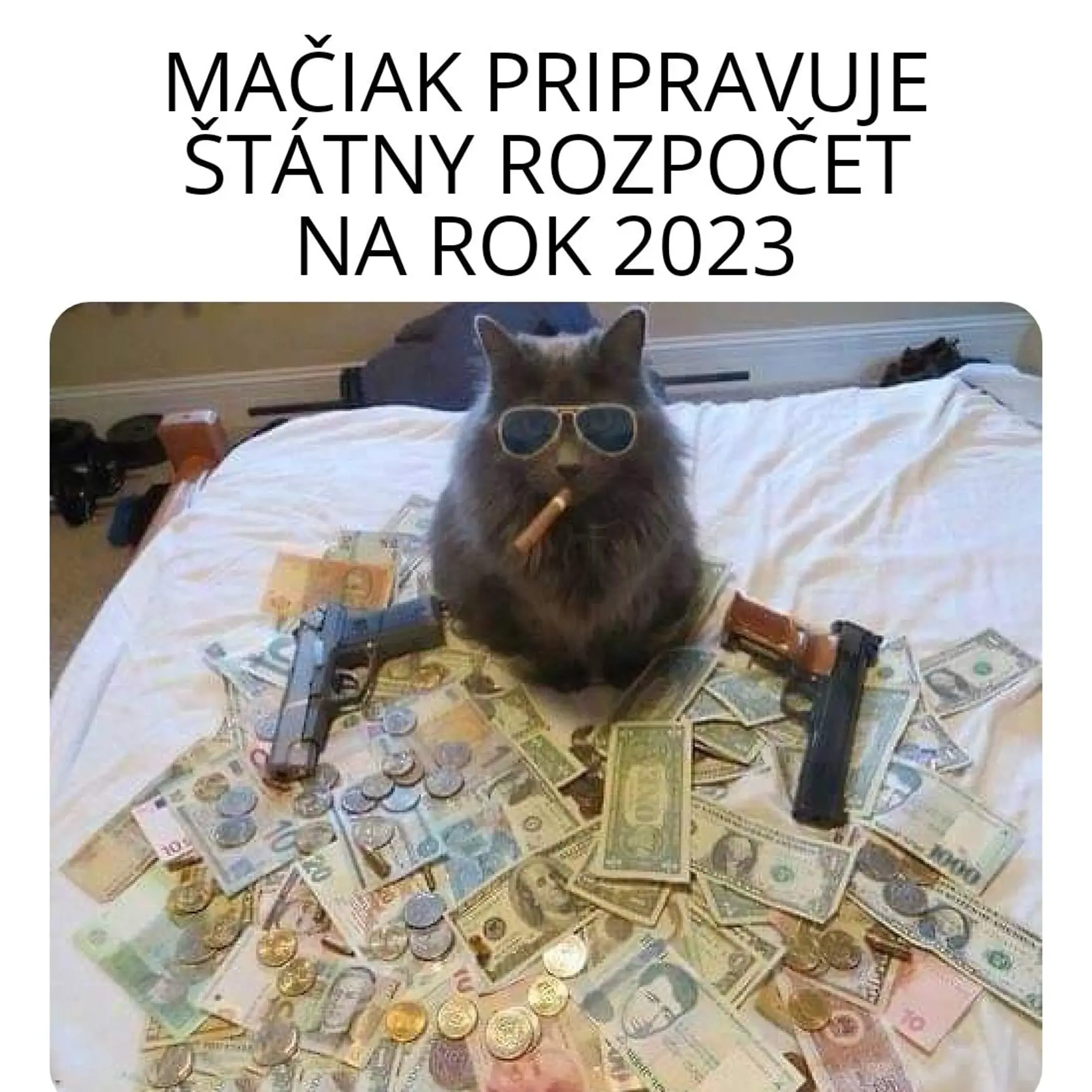 Minister financií Igor Matovič už pracuje na štátnom rozpočte na rok 2023. Podľa internetových vtipkárov mu pri tom asistuje aj jeho domáci maznáčik - Mačiak.
