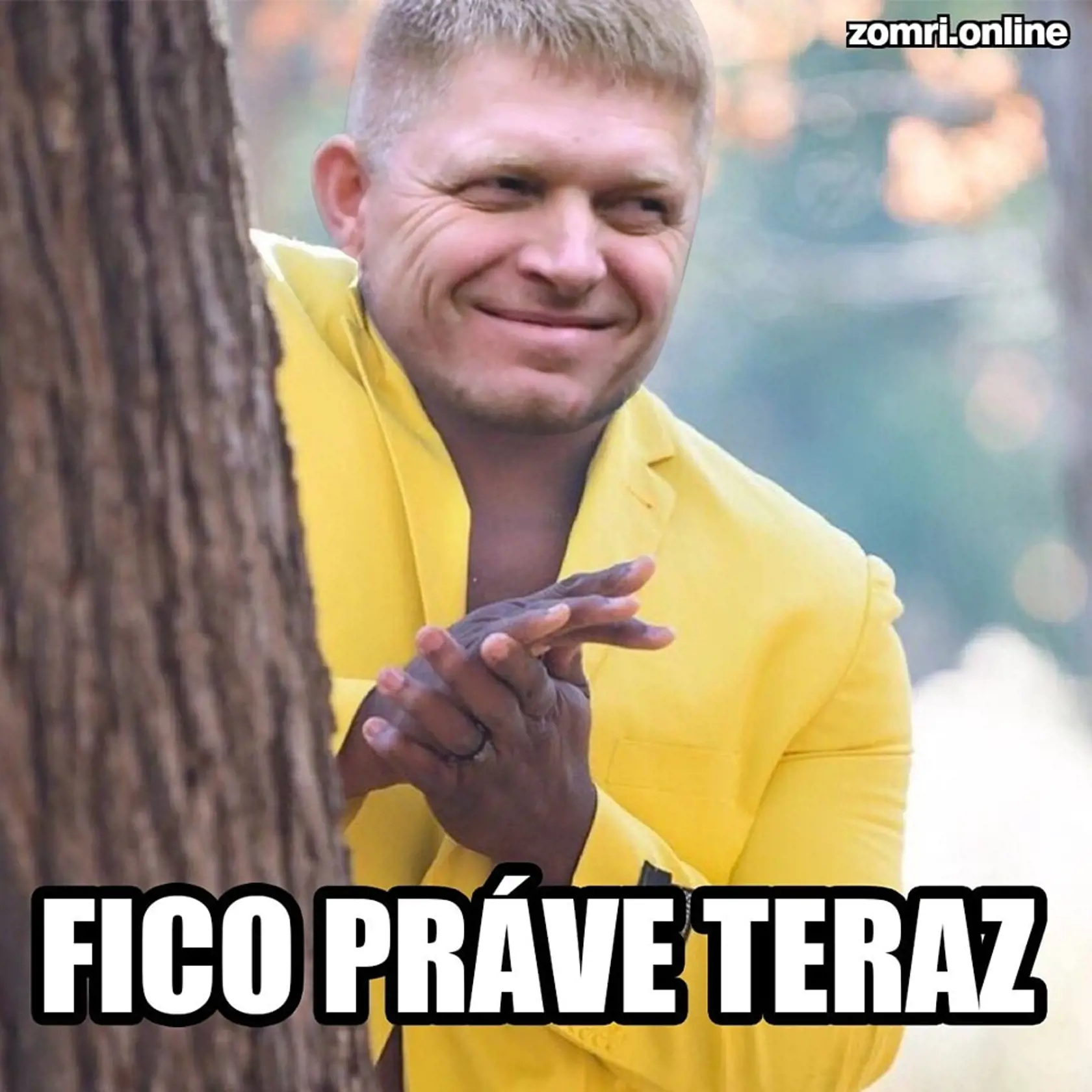 Chlapci moji koaliční...