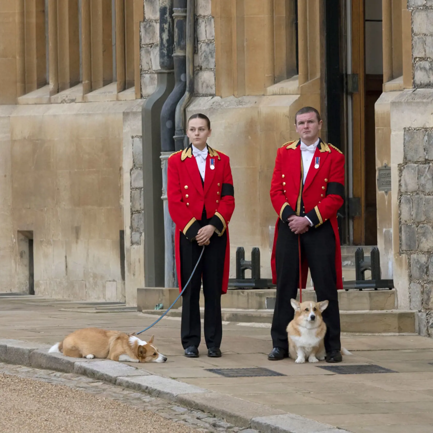 Na snímke psi plemena corgi Muick a Sandy čakajú na rakvu s pozostatkami zosnulej britskej kráľovnej Alžbety II. v pondelok 19. septembra 2022 na hrade Windsor.  Muick a Sandy sú poslední psi z radu viac ako 30 corgiov, ktoré kráľovná za života vlastnila. Obrad rozžehnania sa s telom kráľovnej Alžbety II. sa uskutočnil vo windsorskej Kaplnke sv. Juraja. Tam panovníčku v rámci súkromného obradu aj pochovali po boku jej manžela princa Philipa.