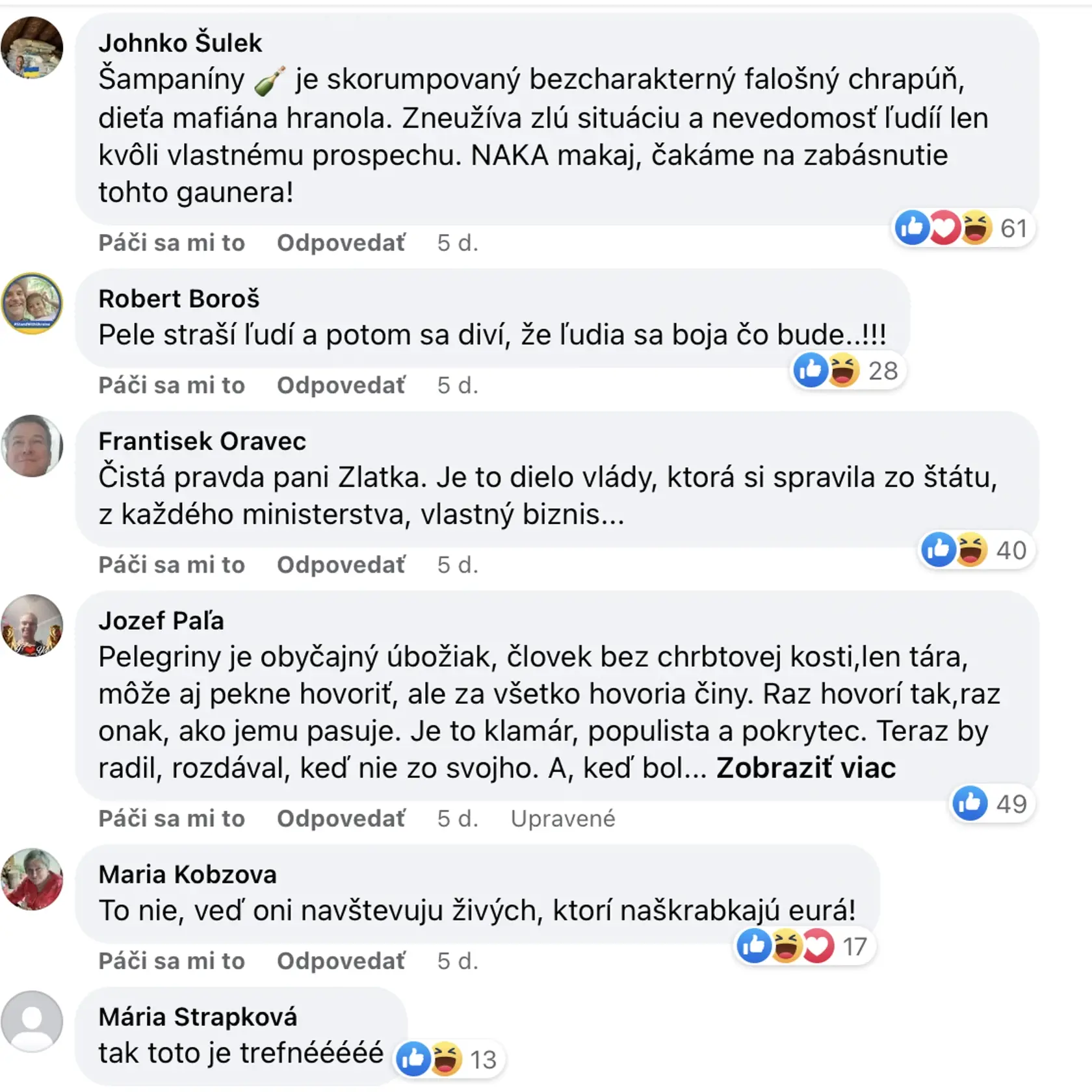 Reakcie diskutujúcich pod príspevkom Zlatice Kušnírovej, ktorá vyzvala Petra Pellegriniho, aby prišiel do Gregoroviec a ukáže mu hrob svojej dcéry, ktorý považuje za výsledok vládnutia Smeru, v ktorom dlhé roky pôsobil.