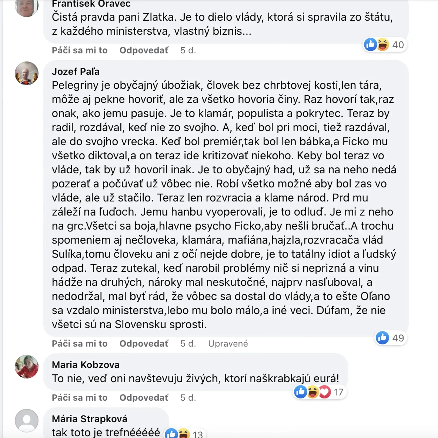 Reakcie diskutujúcich pod príspevkom Zlatice Kušnírovej, ktorá vyzvala Petra Pellegriniho, aby prišiel do Gregoroviec a ukáže mu hrob svojej dcéry, ktorý považuje za výsledok vládnutia Smeru, v ktorom dlhé roky pôsobil.