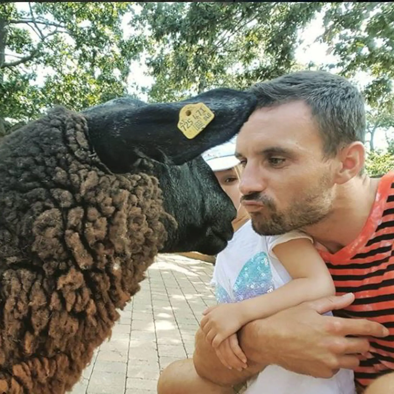 Keď ja stretnem stádo, dokopy sa dám jedine s čiernou ovcou! 
Túto fešandu mi schválila aj Miuša. Martin Šmahel sa snaží zblížiť s touto fešandoul
