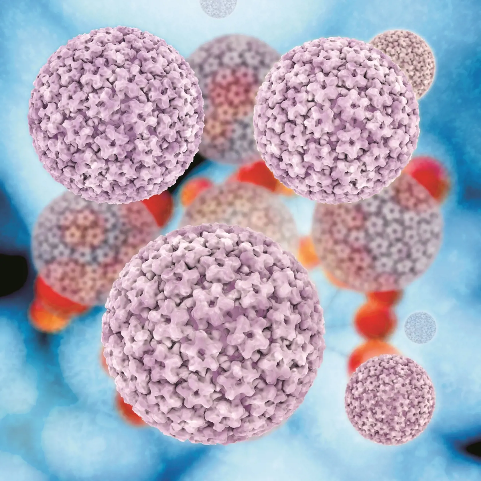 Očkovanie proti
infekcii vírusom HPV
spadá do kategórie
odporúčaných, teda nie
povinných očkovaní.