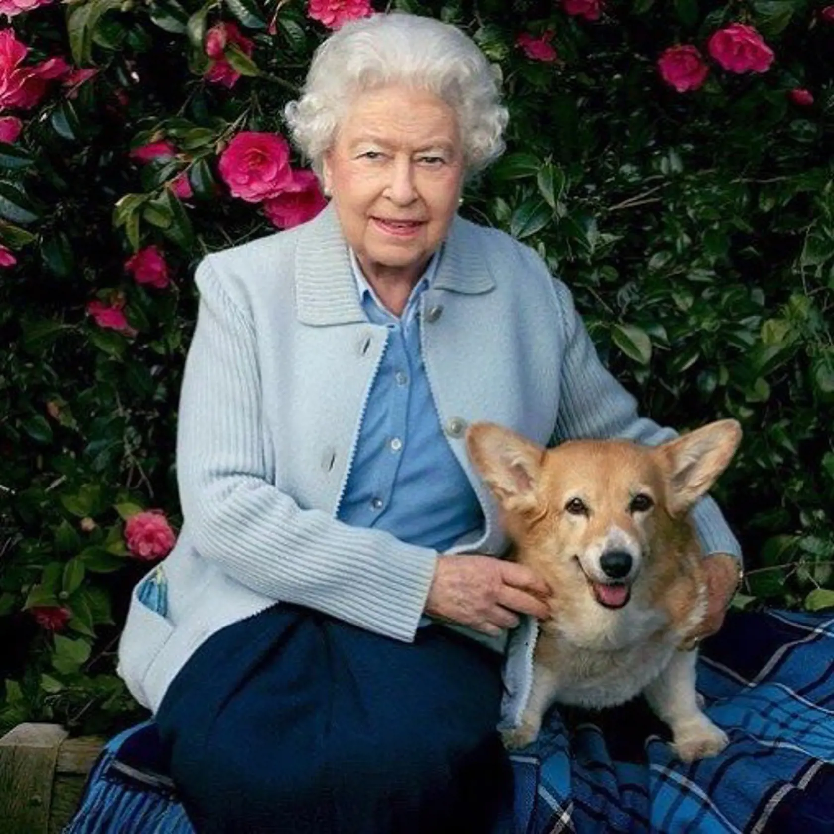 Britská kráľovská rodina