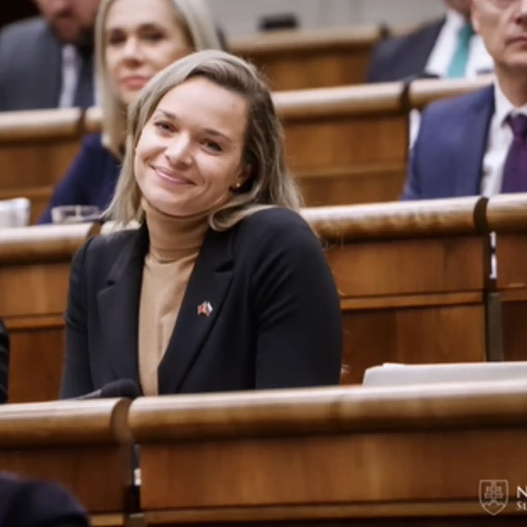 „Predsedami výborov nie sú len členovia koaličných strán, je to záležitosť dohody v rámci celého parlamentu,“ vysvetľoval politológ Tomáš Koziak. „Pani Romana Tabák je opäť mimo reality,“ konštatoval politológ na záver v súvislosti s výčitkou, ktorú adresovala extenistka kolegom z SaS.