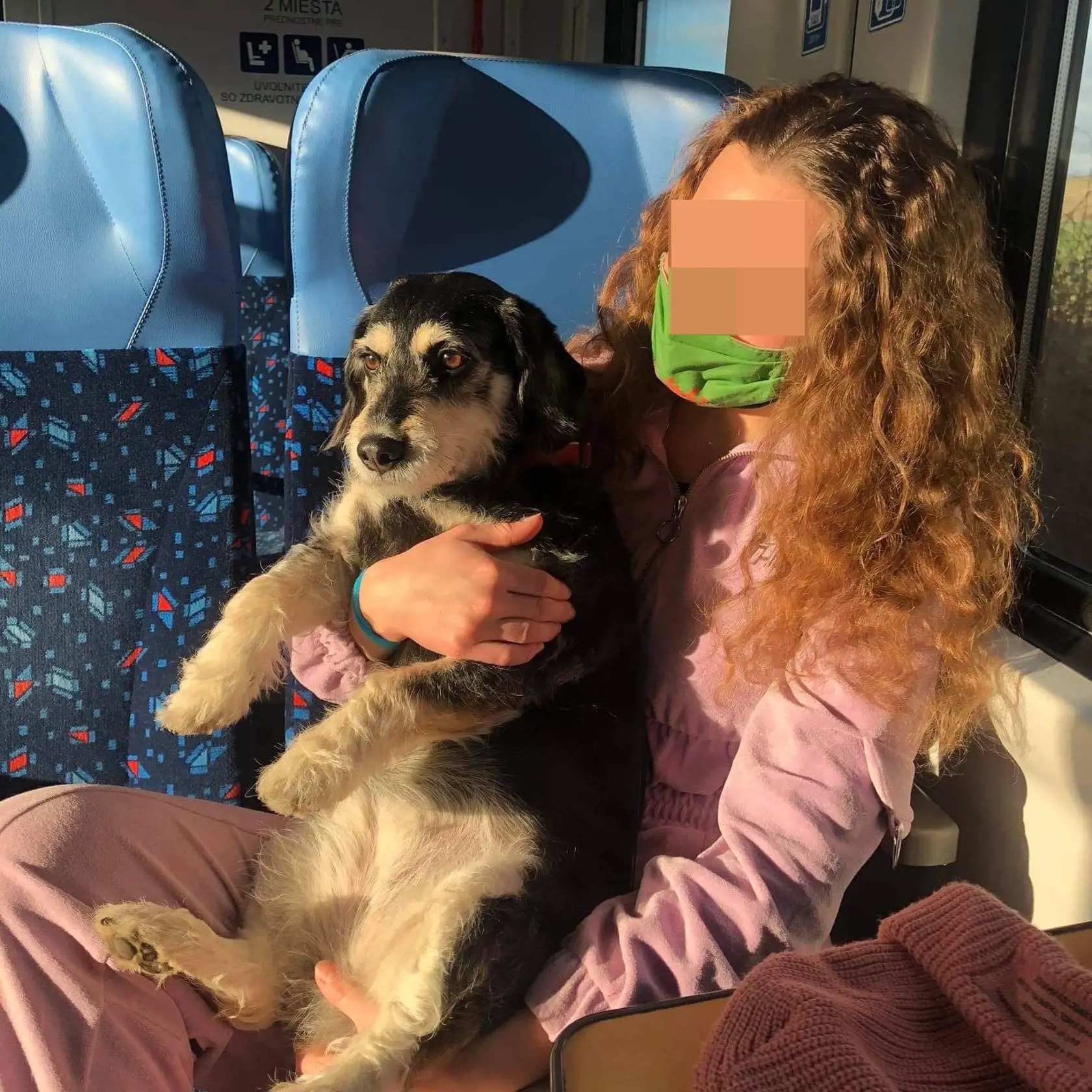 Krásna Laura bola študentkou na SPU v Nitre a jej vášňou boli kone, ktorým sa venovala súťažne, vo svojom voľnom čase, ale aj pracovne.