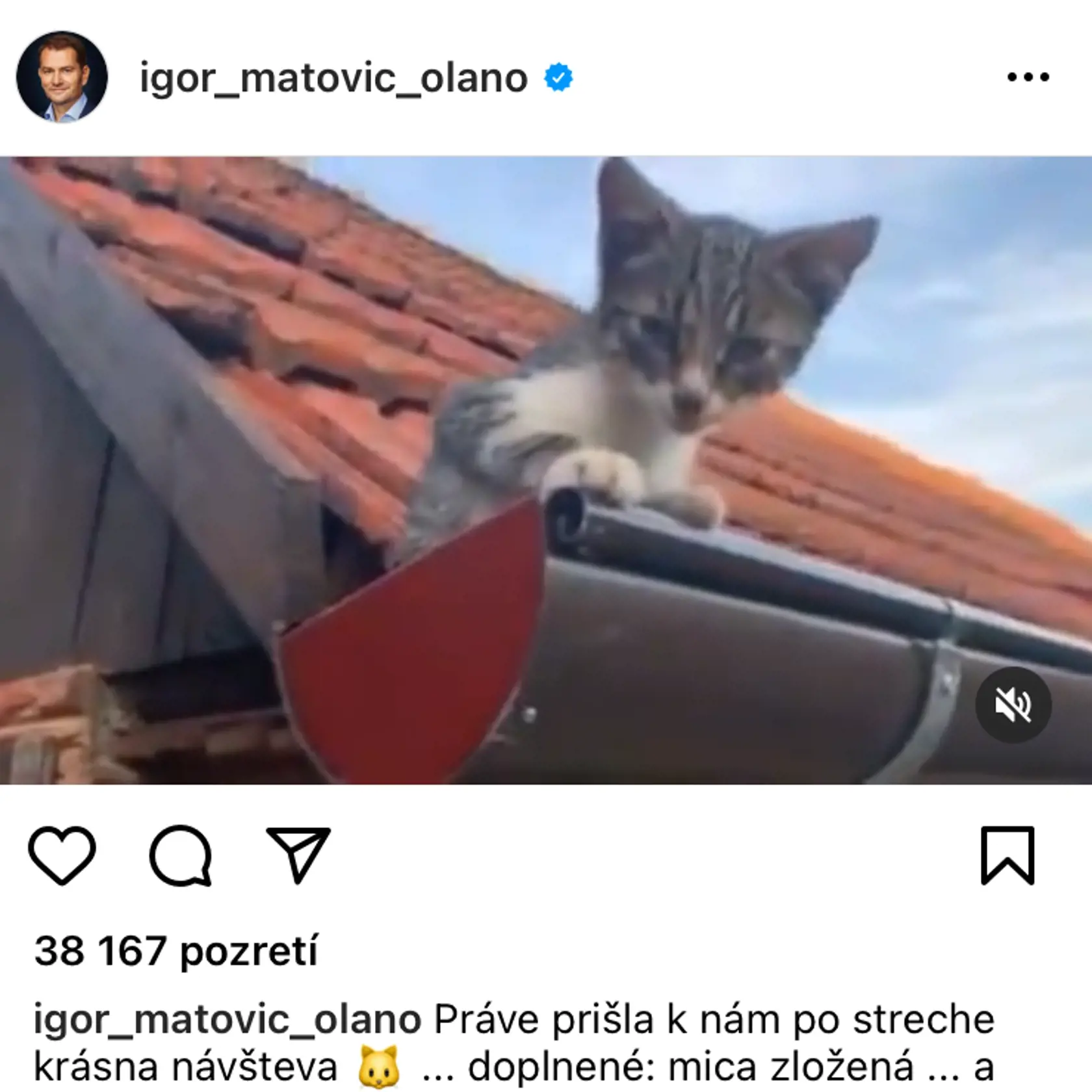 Igor Matovič a jeho manželka Pavlína spolu bývajú v Trnave. Matovičová Šarmu odhalila svoje súkromie.