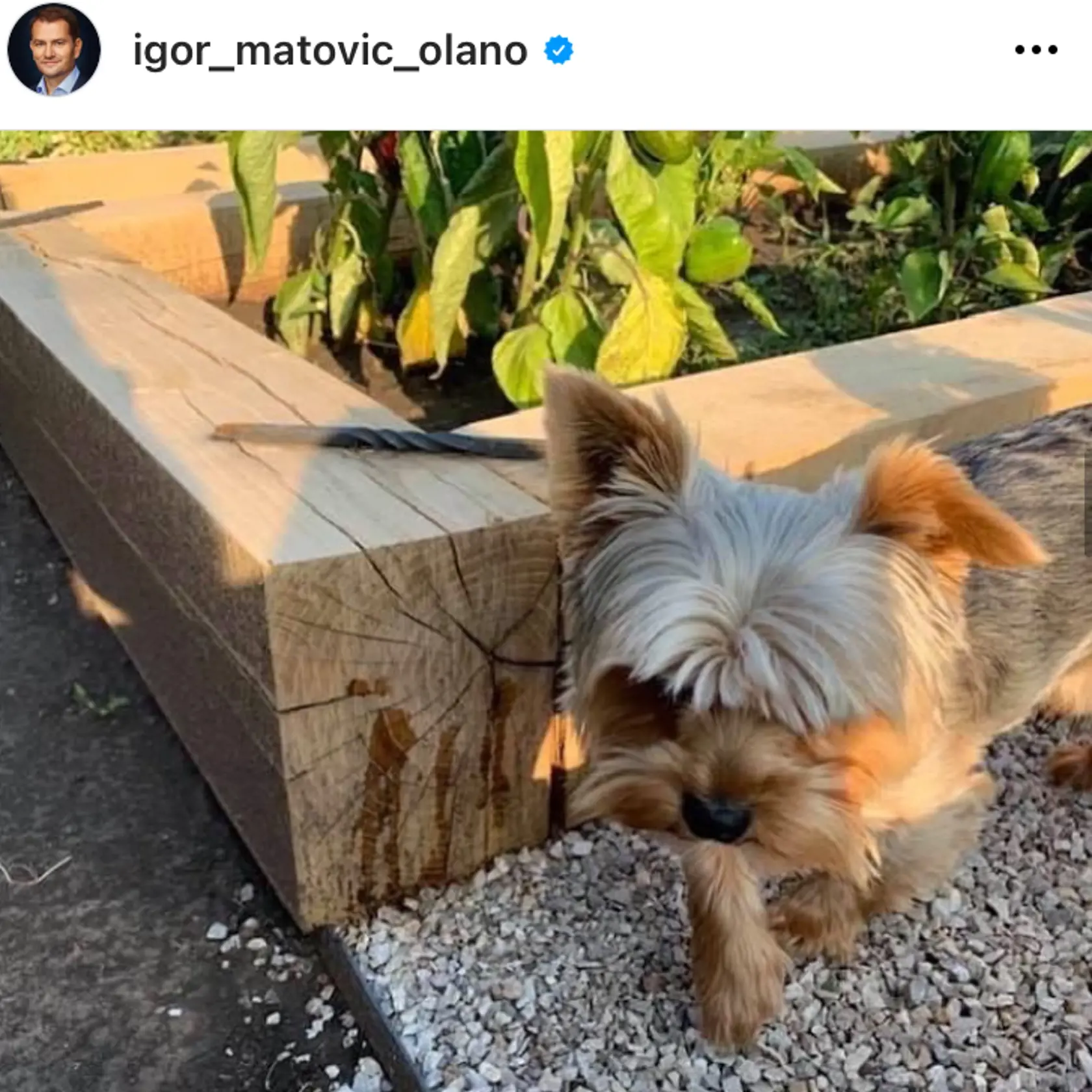 Igor Matovič a jeho manželka Pavlína spolu bývajú v Trnave. Matovičová Šarmu odhalila svoje súkromie.