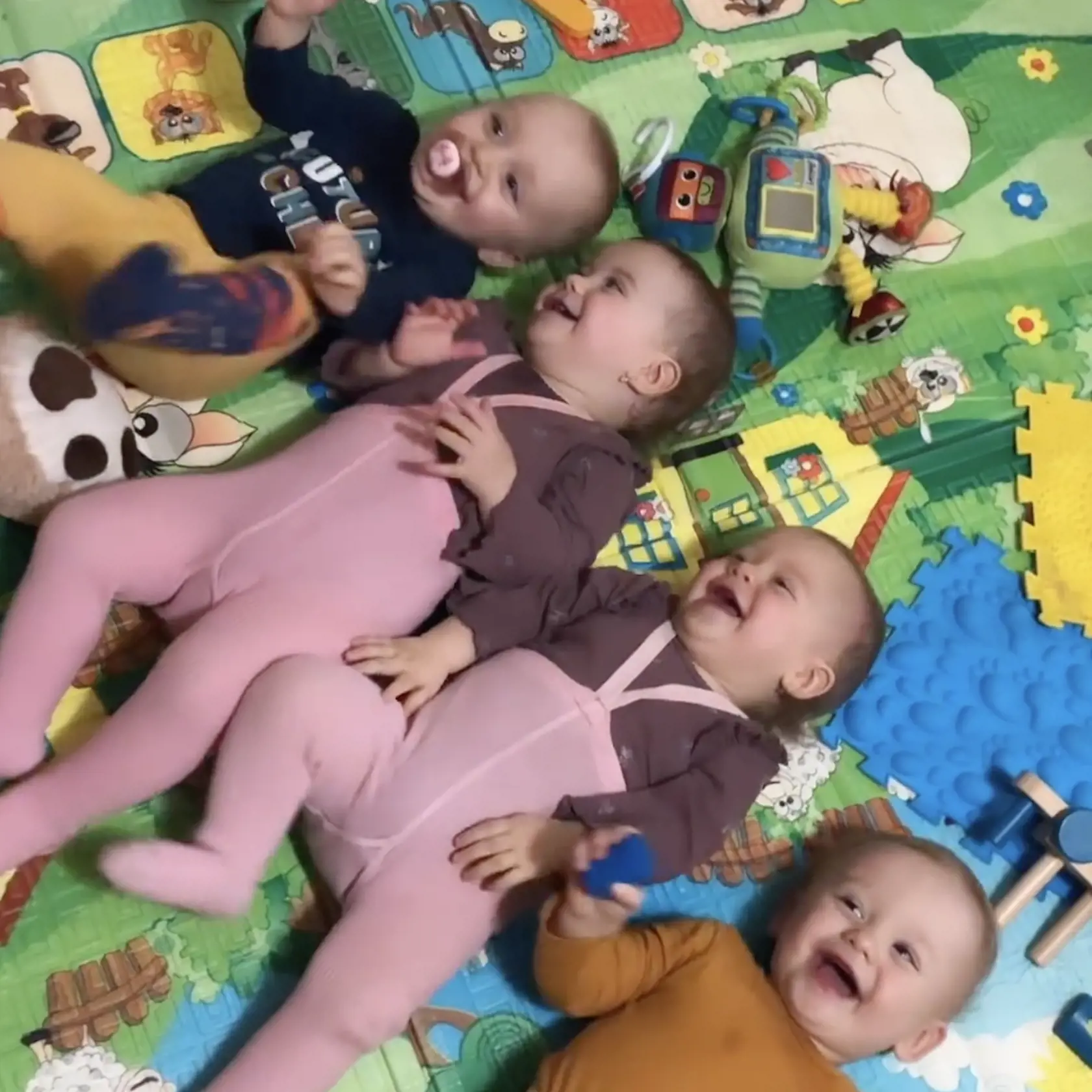 Ročně štvorčatá z Torysy pri Sabinove - Damián, Hugo, Noémi a Eliška.