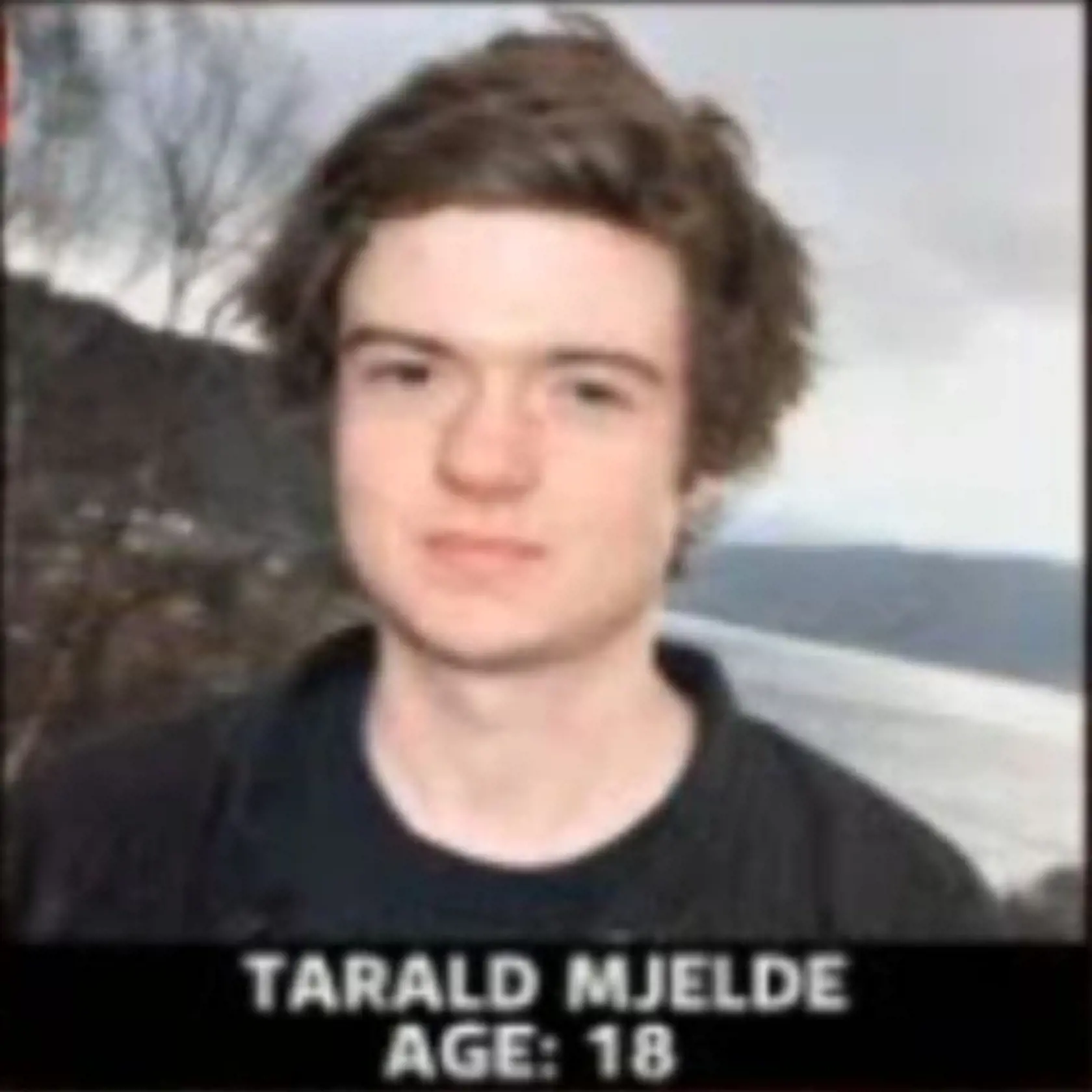 Tarald Mjelde