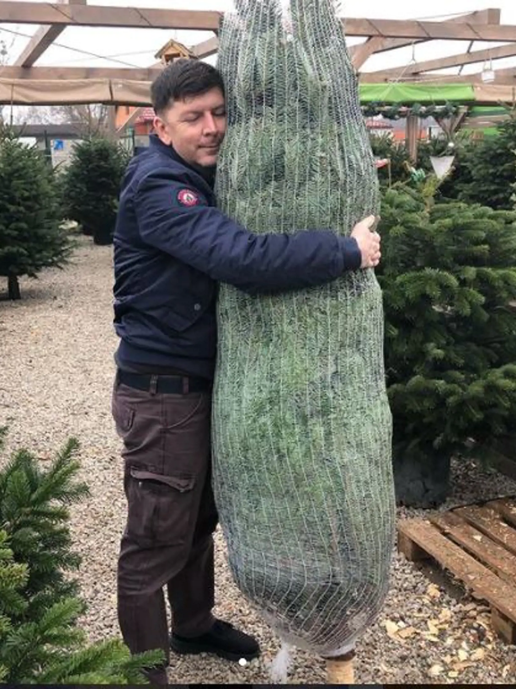 Stromček si kúpil začiatkom decembra.