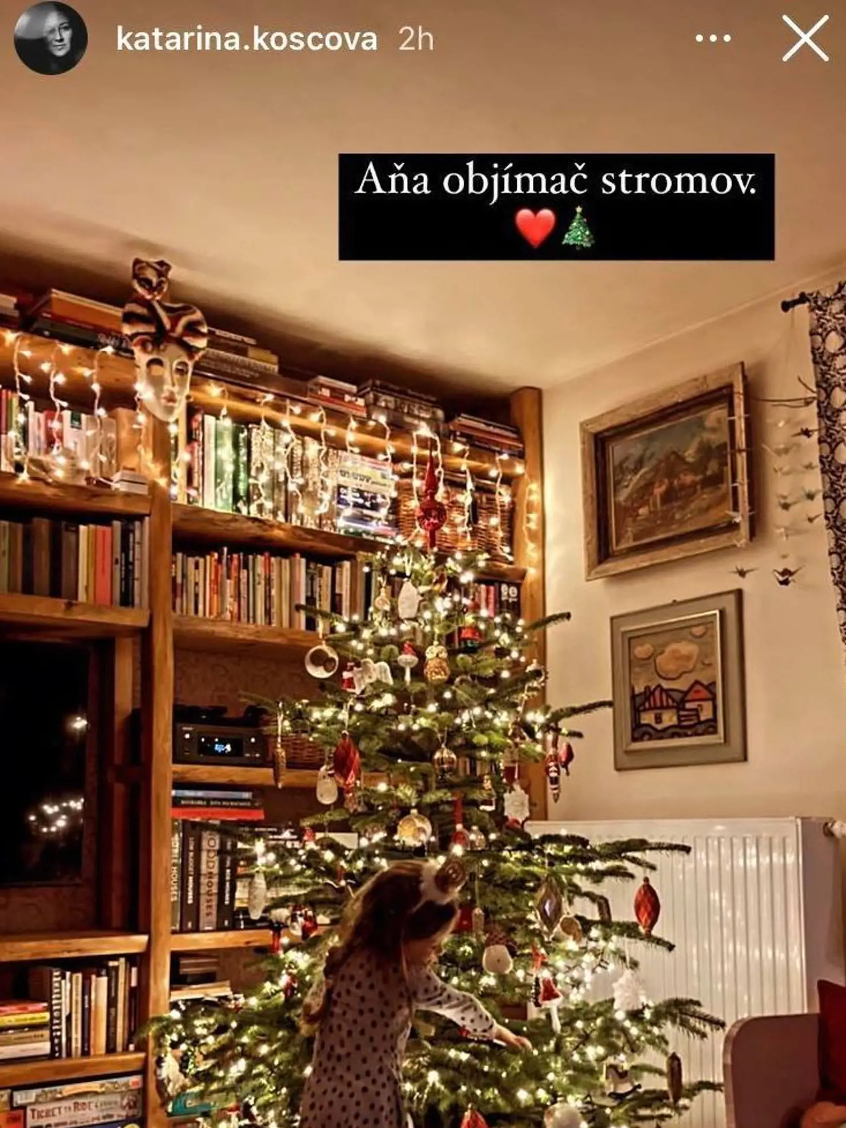 Vianočný stromček Katky Koščovej.