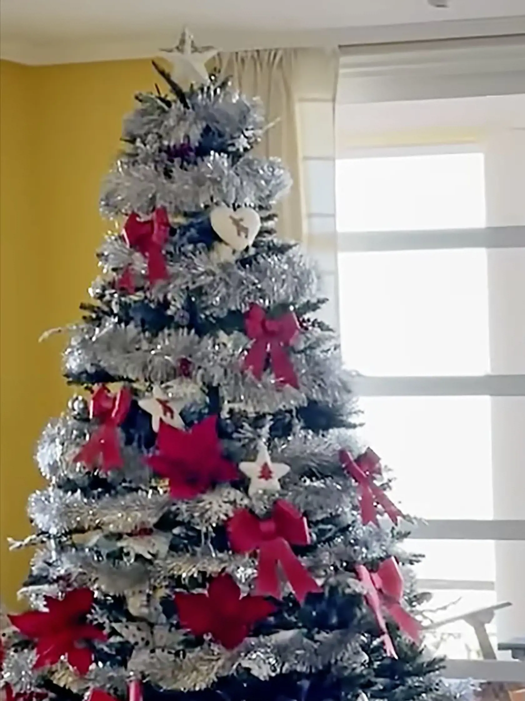 AJ ONI HO MAJÚ
I keď Zuzana Belohorcová žije v teple na ostrove Tenerife, vianočný stromček si zabezpečila aj tam.