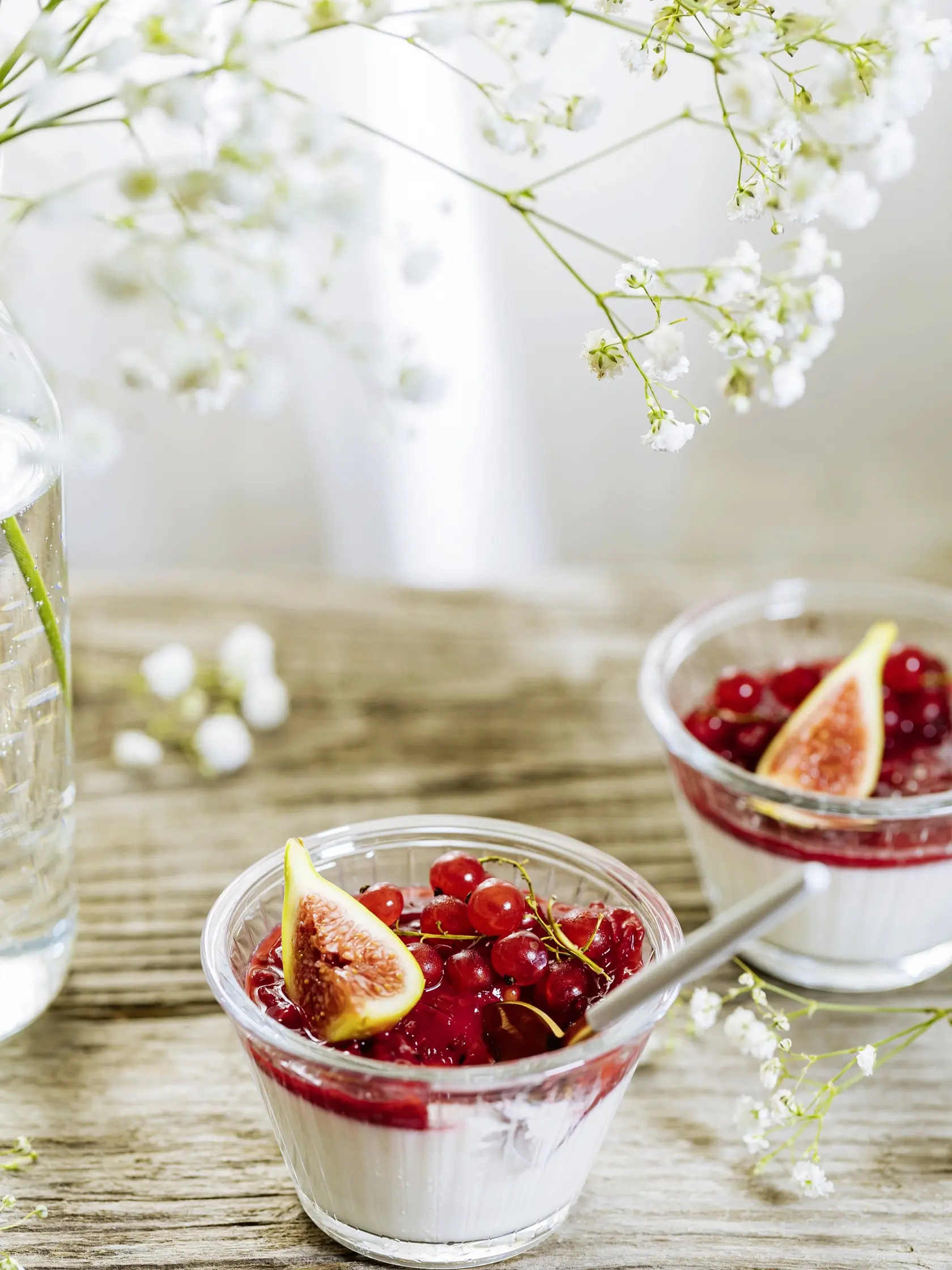 Vanilková panna cotta s ríbezľovým želé