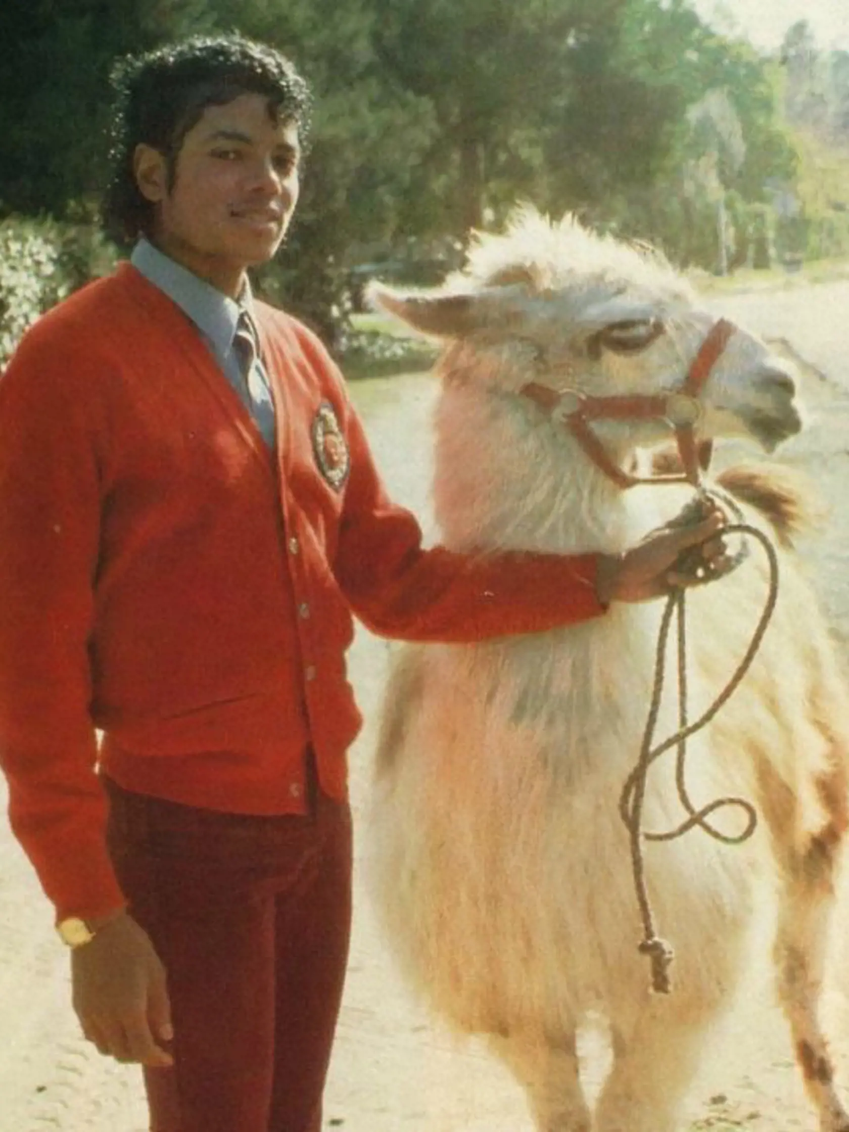 Michael Jackson a lama