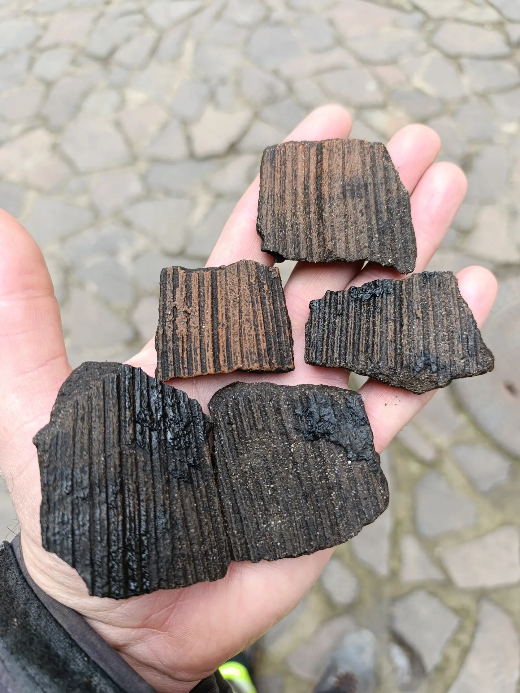 Takúto krásnu keramiku z doby železnej našli archeológovia pri výskume na Trenčianskom hrade.