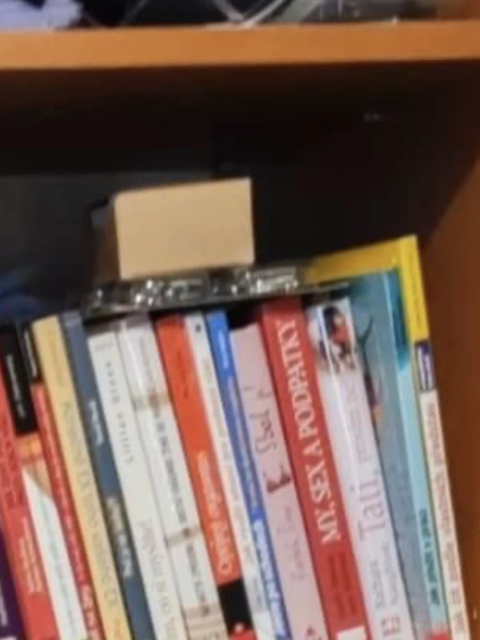 Vrah Vladimír (†34) bol milovníkom nielen zbraní a kriminalistickej literatúry, ale aj knihy so zaujímavým obsahom. Mnohé z nich sa venujú vzťahovým problémom medzi mužom a ženou, medzi nimi mal aj knihu s názvom Lolitky.