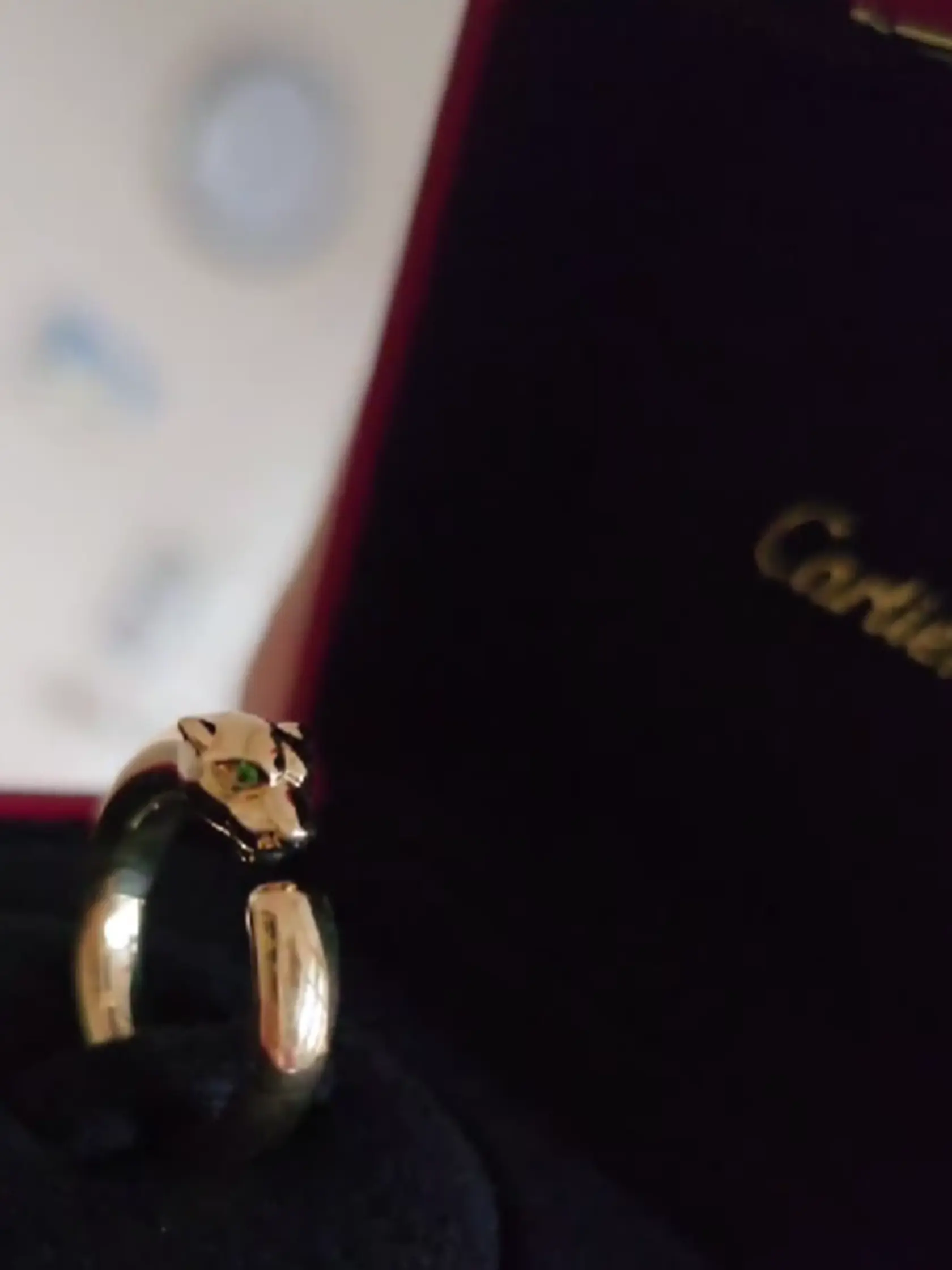 Lela Vémola dostala od manžela Karlosa prsteň exkluzívnej francúzskej značky Cartier. Prsteň s motívom pantera je vytvorený zo žltého zlata a zdobený drahokamom ónyx. Pohľad na prsteň vyráža dych rovnako, ako aj jeho cena. Ak by ste sa ním chceli popýšiť na ruke, pripravte si viac než 4-tisíc eur!
