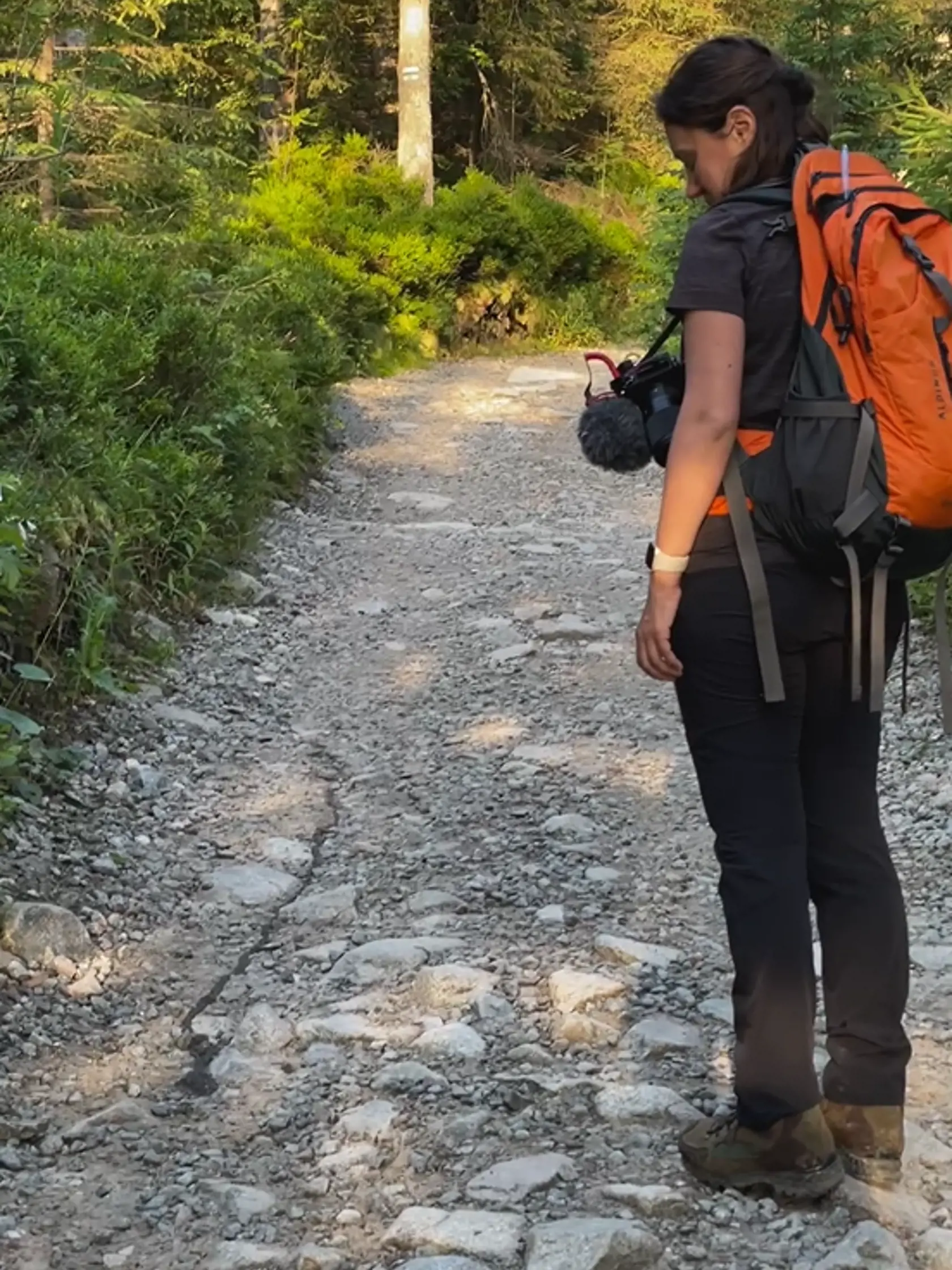 Pre mnohých turistov, no aj komentujúcich na sociálnych sieťach, však toto prírodné divadlo vyzeralo ako z nejakého hororu.