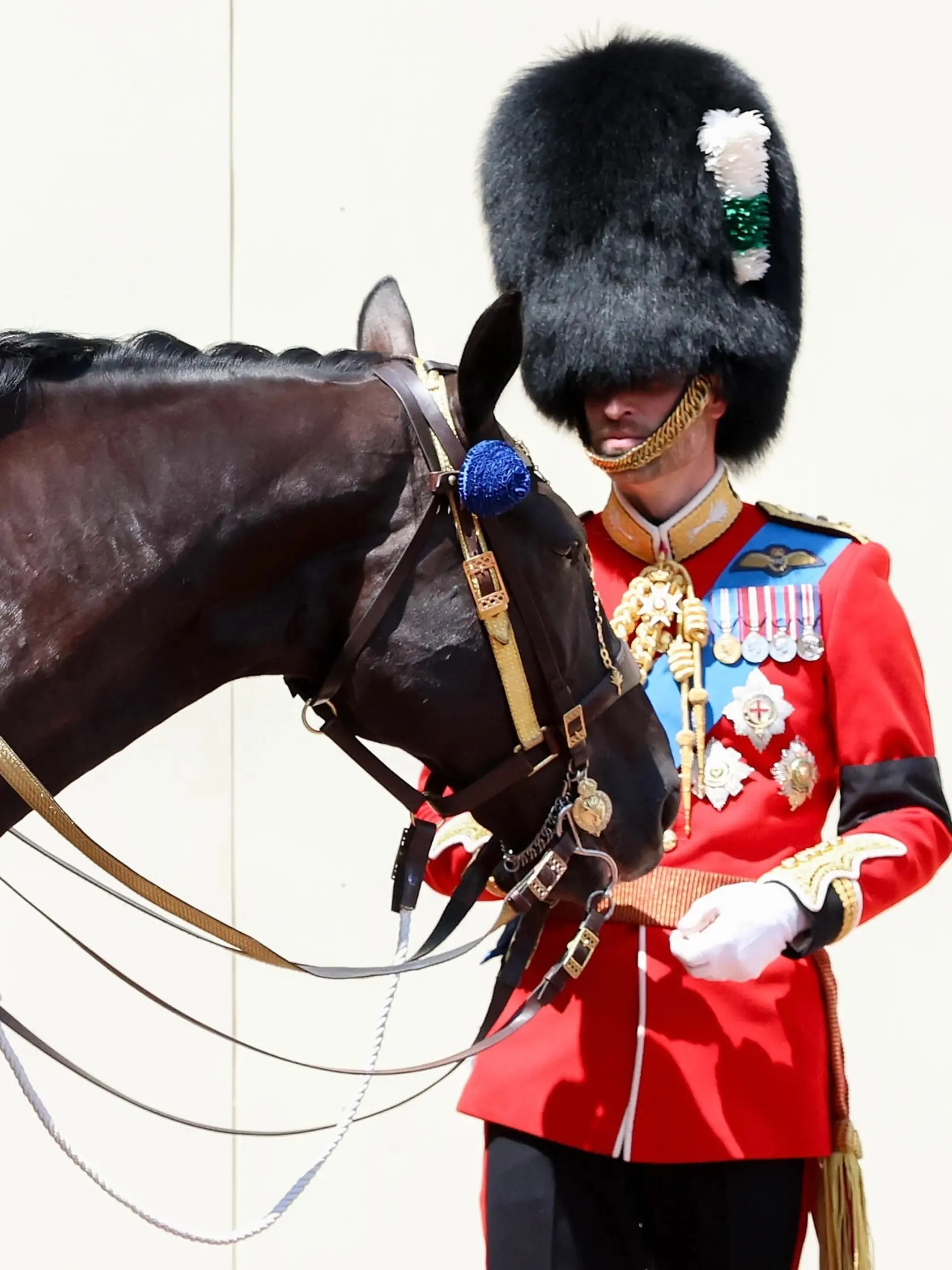 Princ William na oslave narodenín kráľa Trooping the Colour.