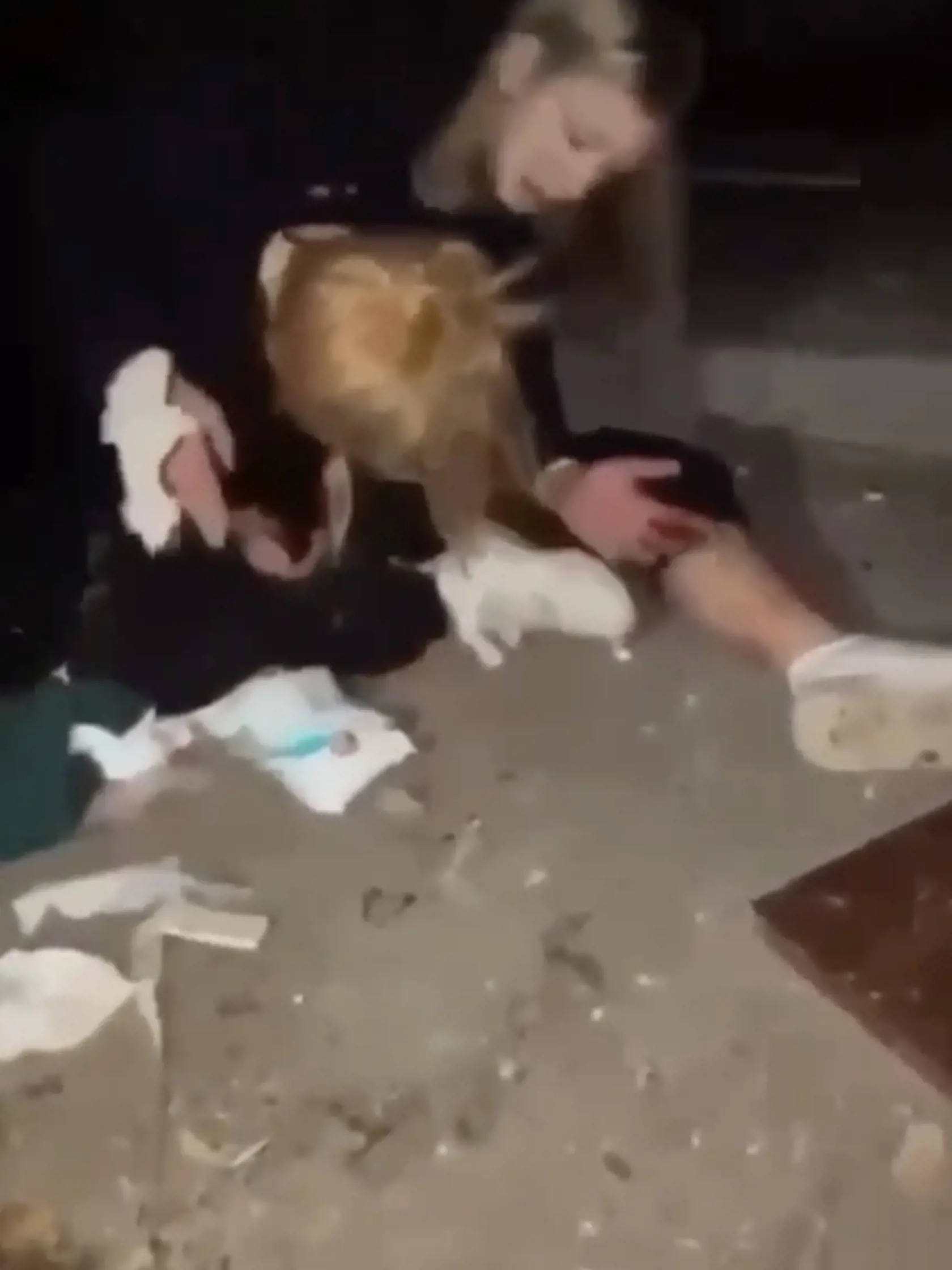 Do 11-ročného dievčaťa liali alkohol, bili ju a všetko si to nahrávali na mobil.