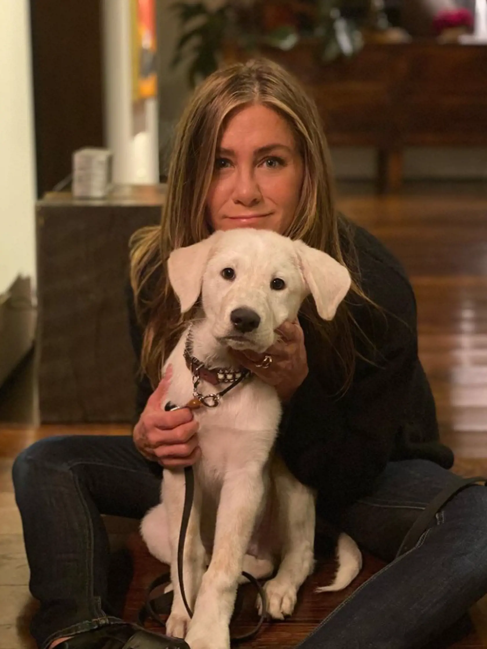 Jennifer Aniston (Rachel)