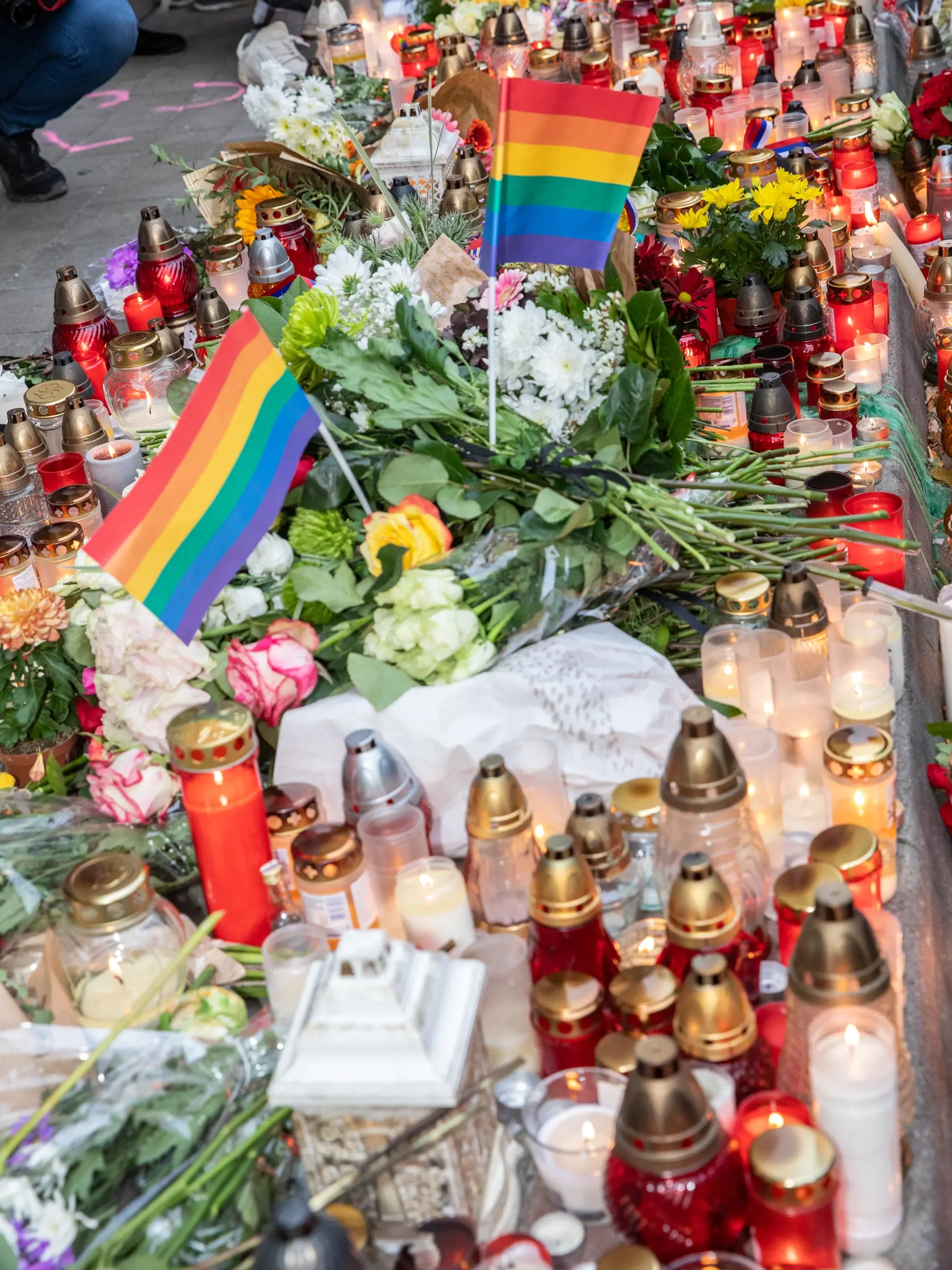 Na snímke je pochod za odsúdenie nenávisti proti LGBTI, ktorý nadväzuje na nedávne nešťastné udalosti na Zámockej ulici. Na pochode vyjadrili tisíce ľudí rešpekt voči homosexuálne orientovaným ľudom a vystúpili tiež niektorí politici, vrátane Eduarda Hegera a Zuzany Čaputovej.