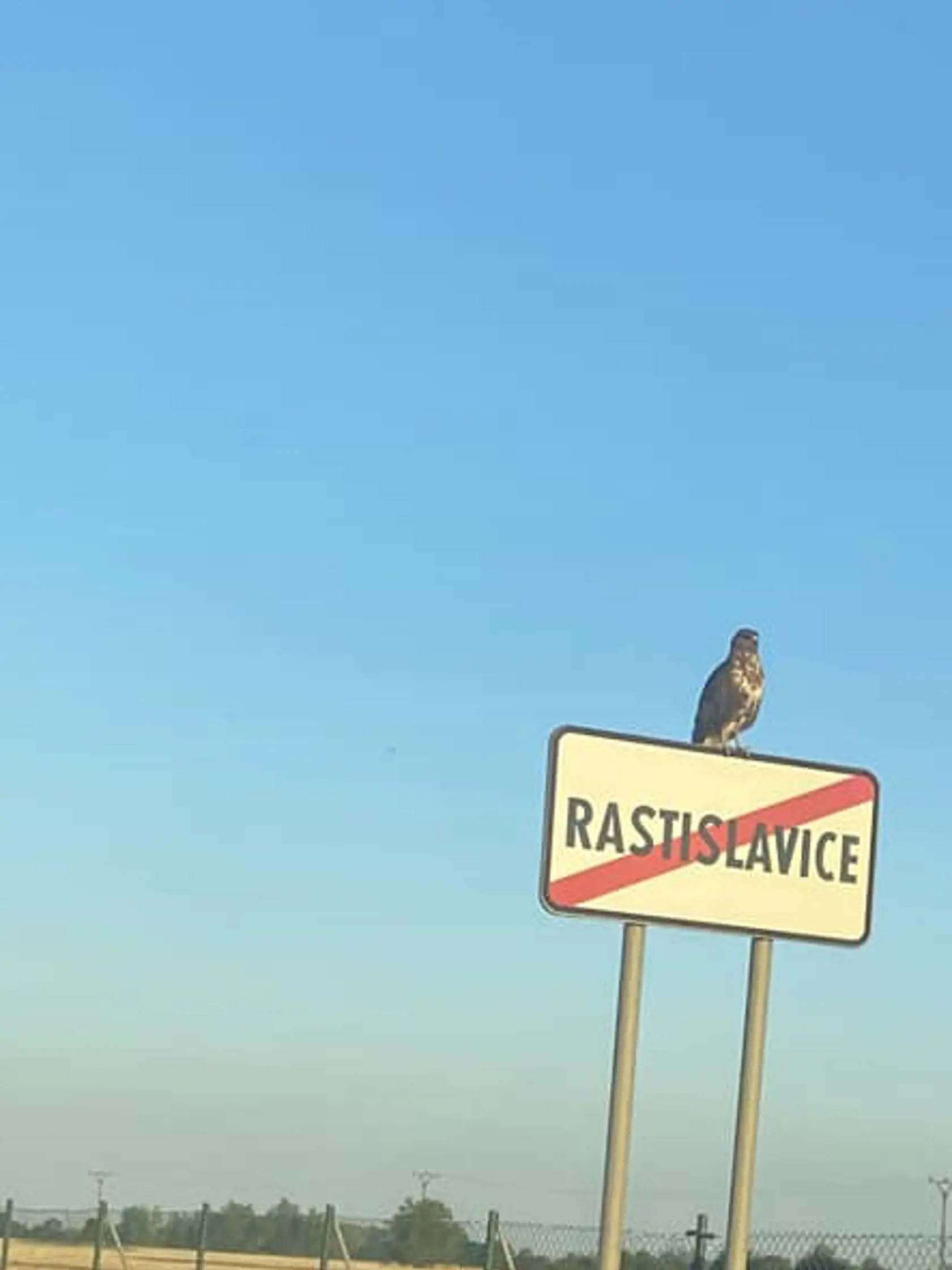 ObecRastislavice