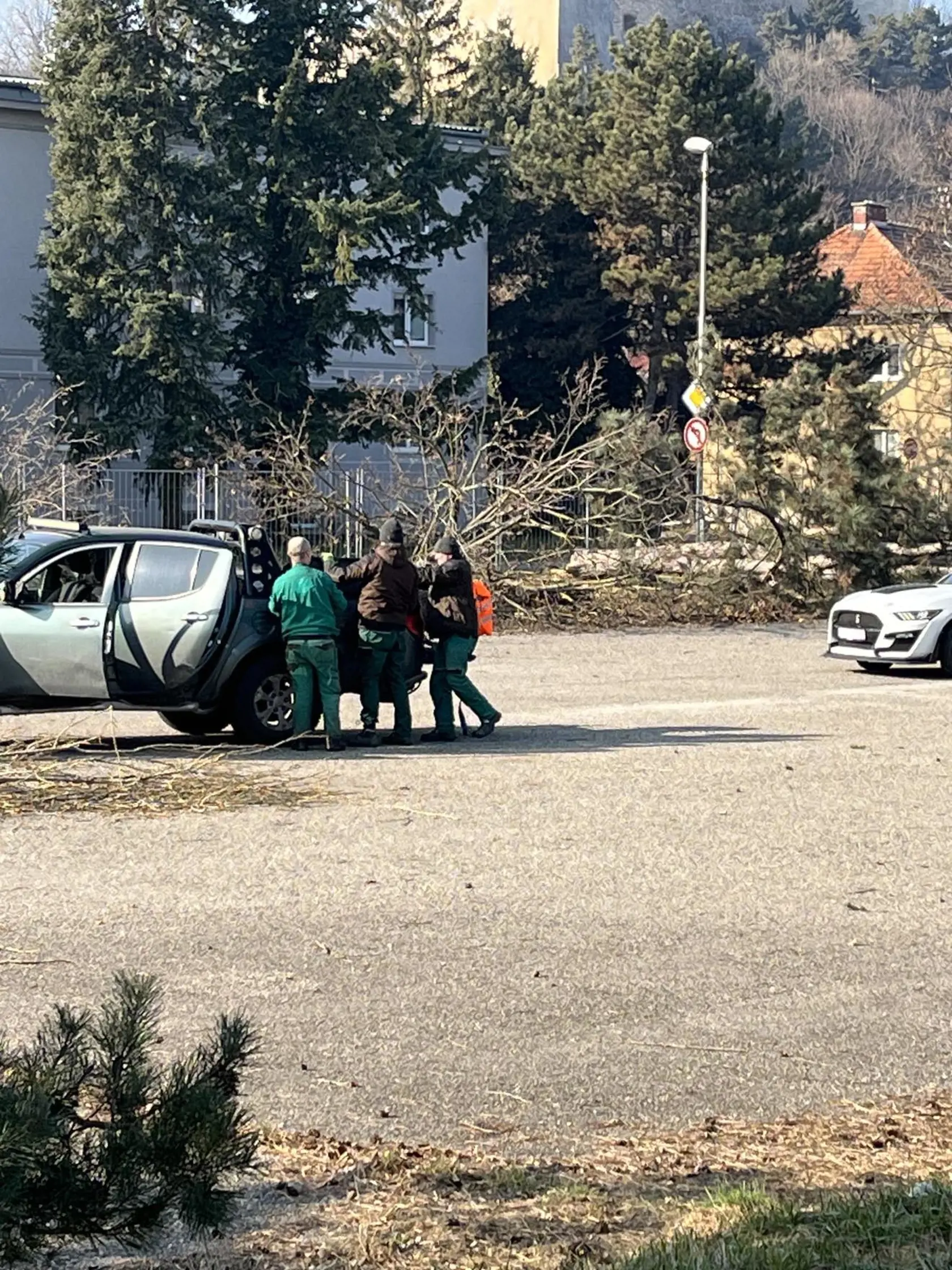 Domáci kritizujú, že zdravé stromy padli za obeť výstavbe.