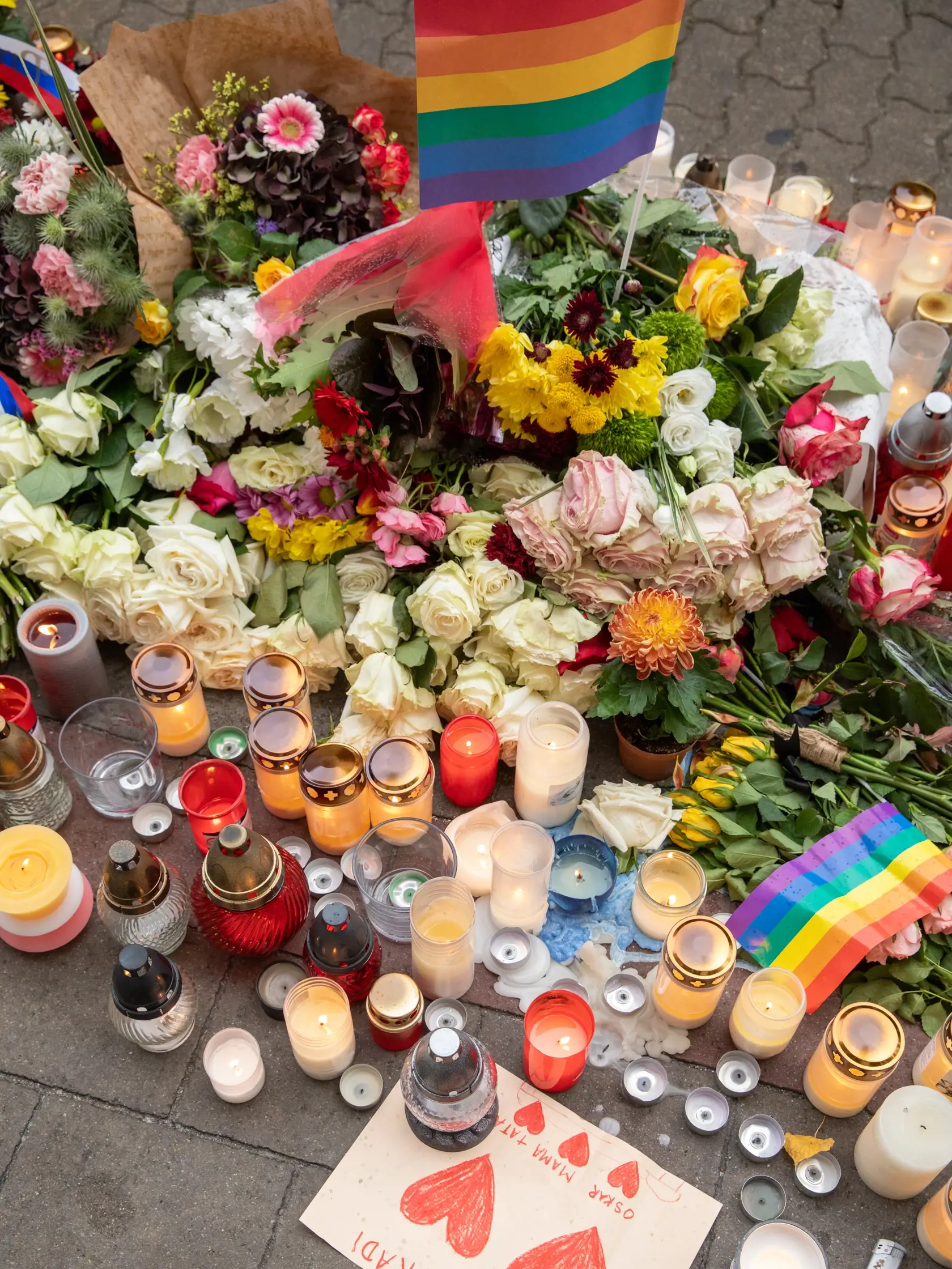Na snímke je pochod za odsúdenie nenávisti proti LGBTI, ktorý nadväzuje na nedávne nešťastné udalosti na Zámockej ulici. Na pochode vyjadrili tisíce ľudí rešpekt voči homosexuálne orientovaným ľudom a vystúpili tiež niektorí politici, vrátane Eduarda Hegera a Zuzany Čaputovej.