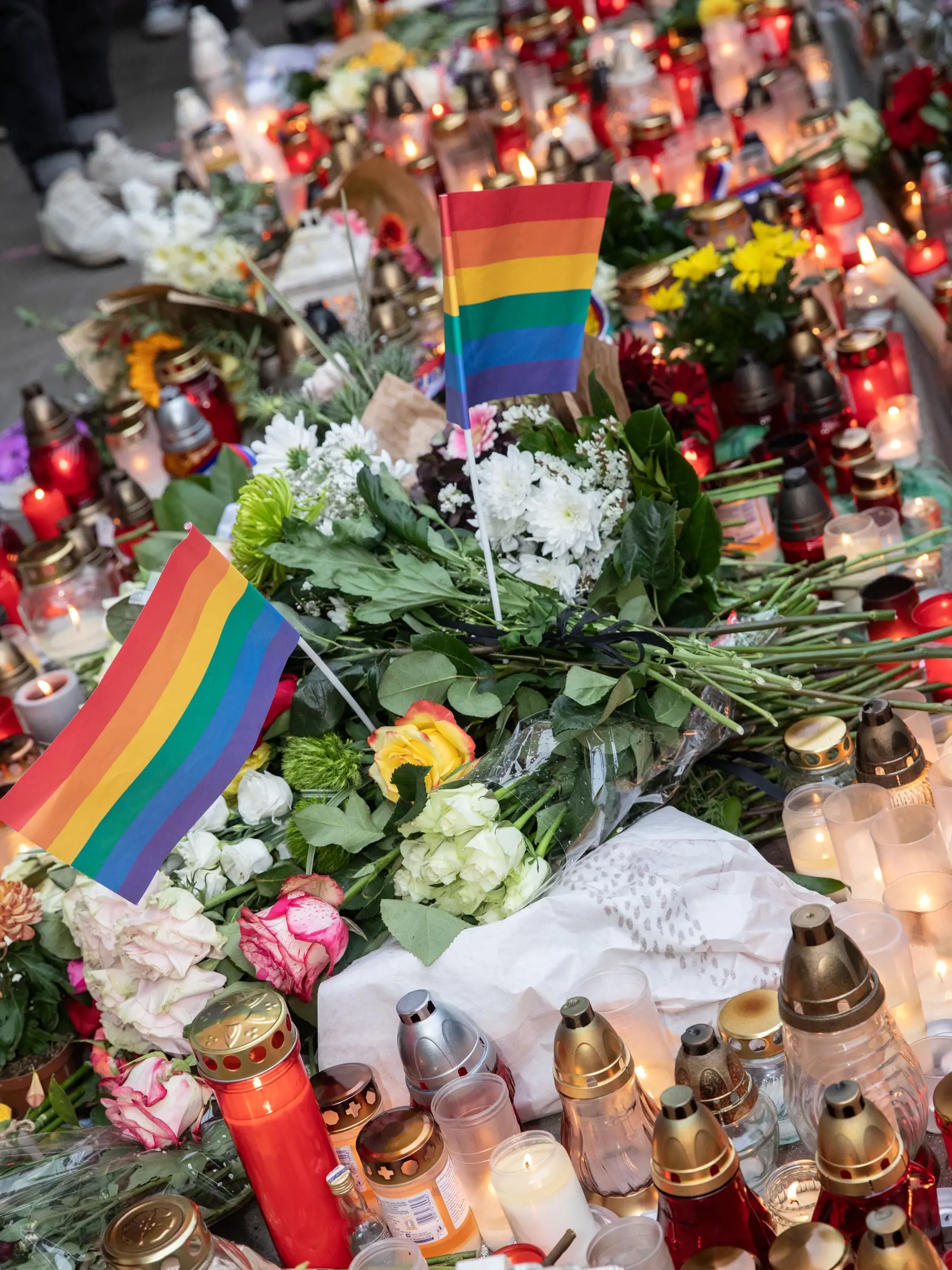 Na snímke je pochod za odsúdenie nenávisti proti LGBTI, ktorý nadväzuje na nedávne nešťastné udalosti na Zámockej ulici. Na pochode vyjadrili tisíce ľudí rešpekt voči homosexuálne orientovaným ľudom a vystúpili tiež niektorí politici, vrátane Eduarda Hegera a Zuzany Čaputovej.