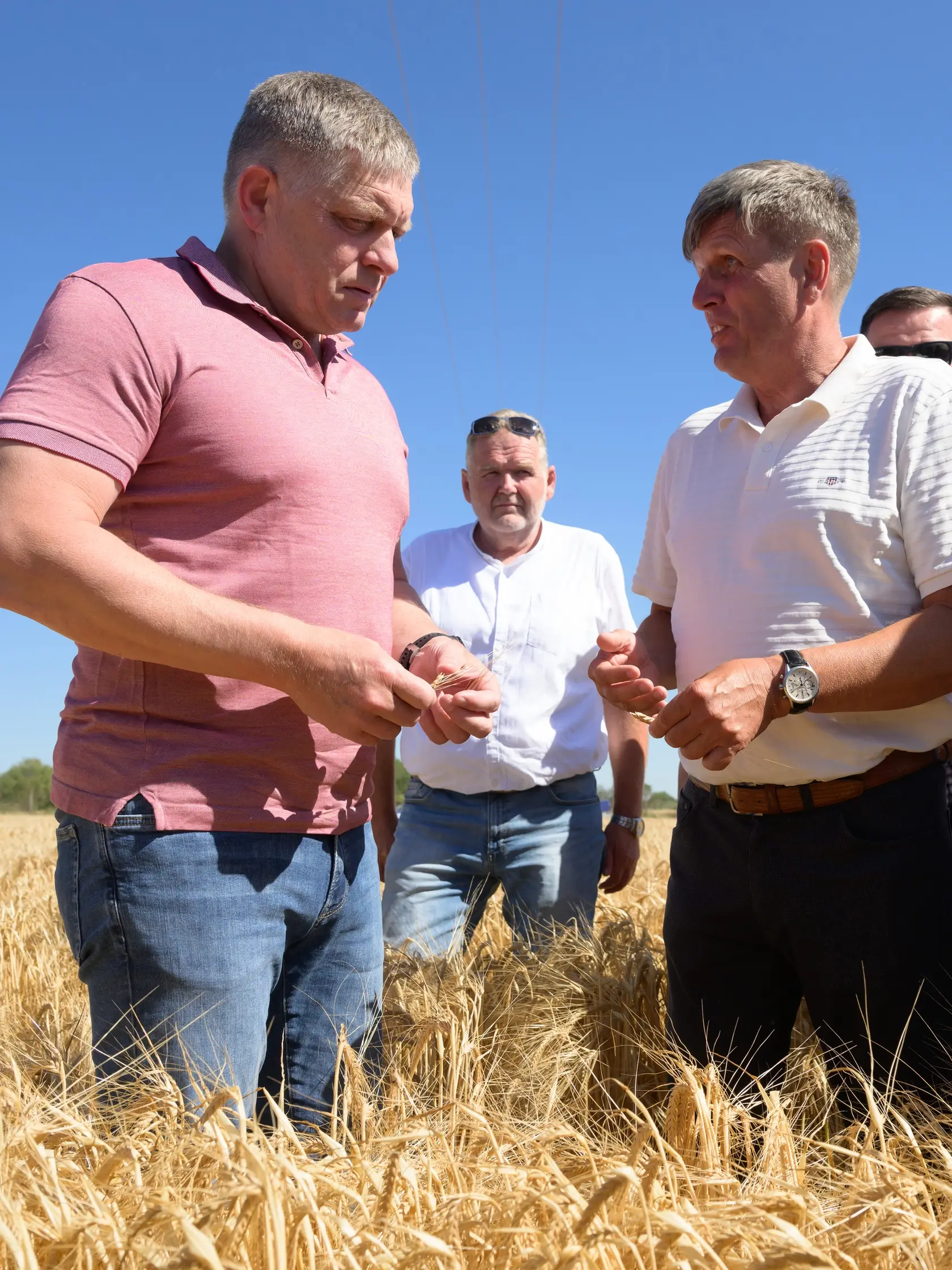 Premiér Fico sa priznal, že poľnohospodárov poprosil, aby za ním došli na Úrad vlády po skončení žatvy a doniesli mu voňavý bochník chleba, upečený z tohtoročnej úrody.