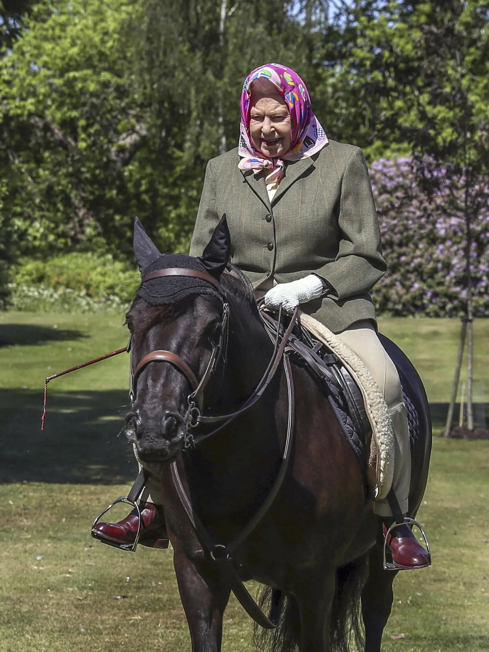 WA 1 Windsor - Britská kráľovná Alžbeta II.  jazdí na 14-ročnom poníkovi menom Balmoral Fern  areáli Windsorského zámku, vzdialeného 30 kilometrov od Londýna v nedeľu 31. mája 2020. Kráľovná má na  hlave ružovú šatku, na rukách biele rukavice a oblečené má zelené tvídové sako a béžové nohavice. Na verejnosti sa ukázala po niekoľkých týždňoch.  Alžbeta II. sa na zámok dočasne presťahovala v polovici marca spolu so svojím manželom, 98-ročným princom Filipom, v obavách z rizika nákazy koronavírusom