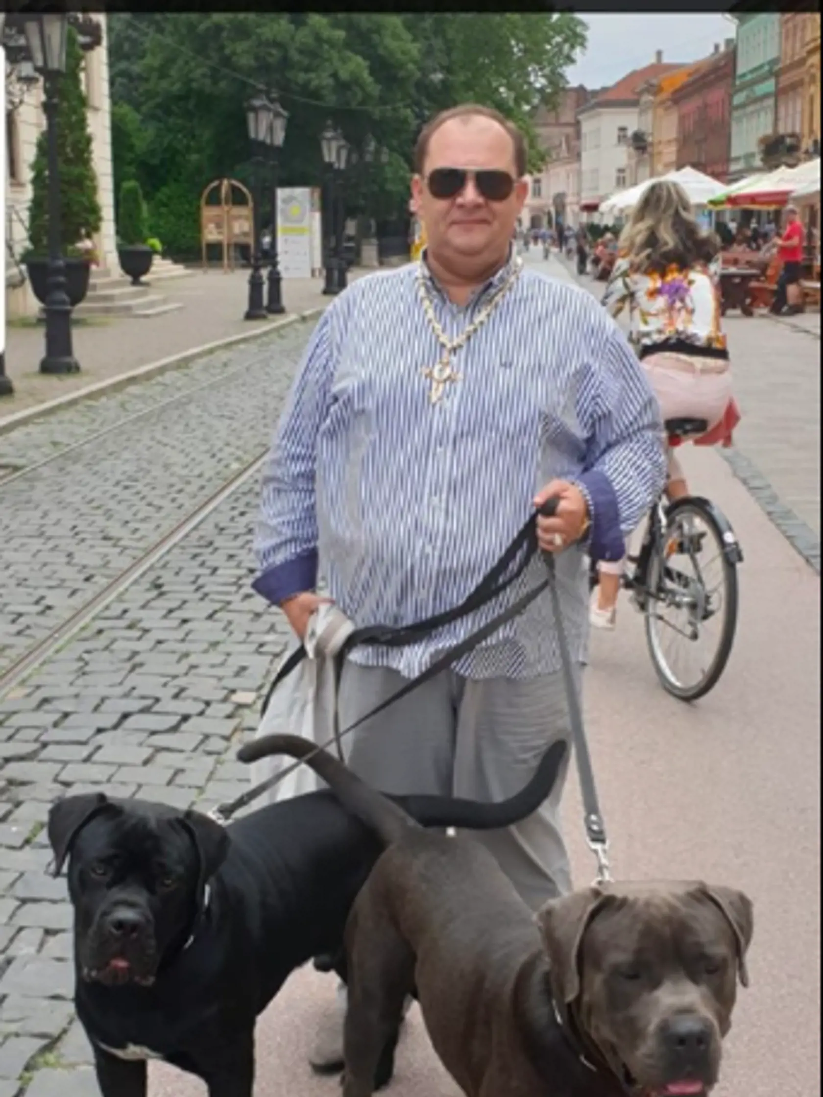 Prechádzka so štvornohými miláčikmi na košickej Hlavnej ulici. (archívne foto)